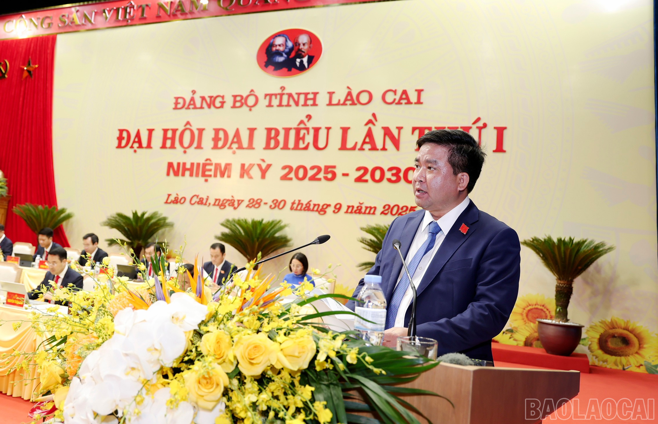 baolaocai-br_img-1747.jpg