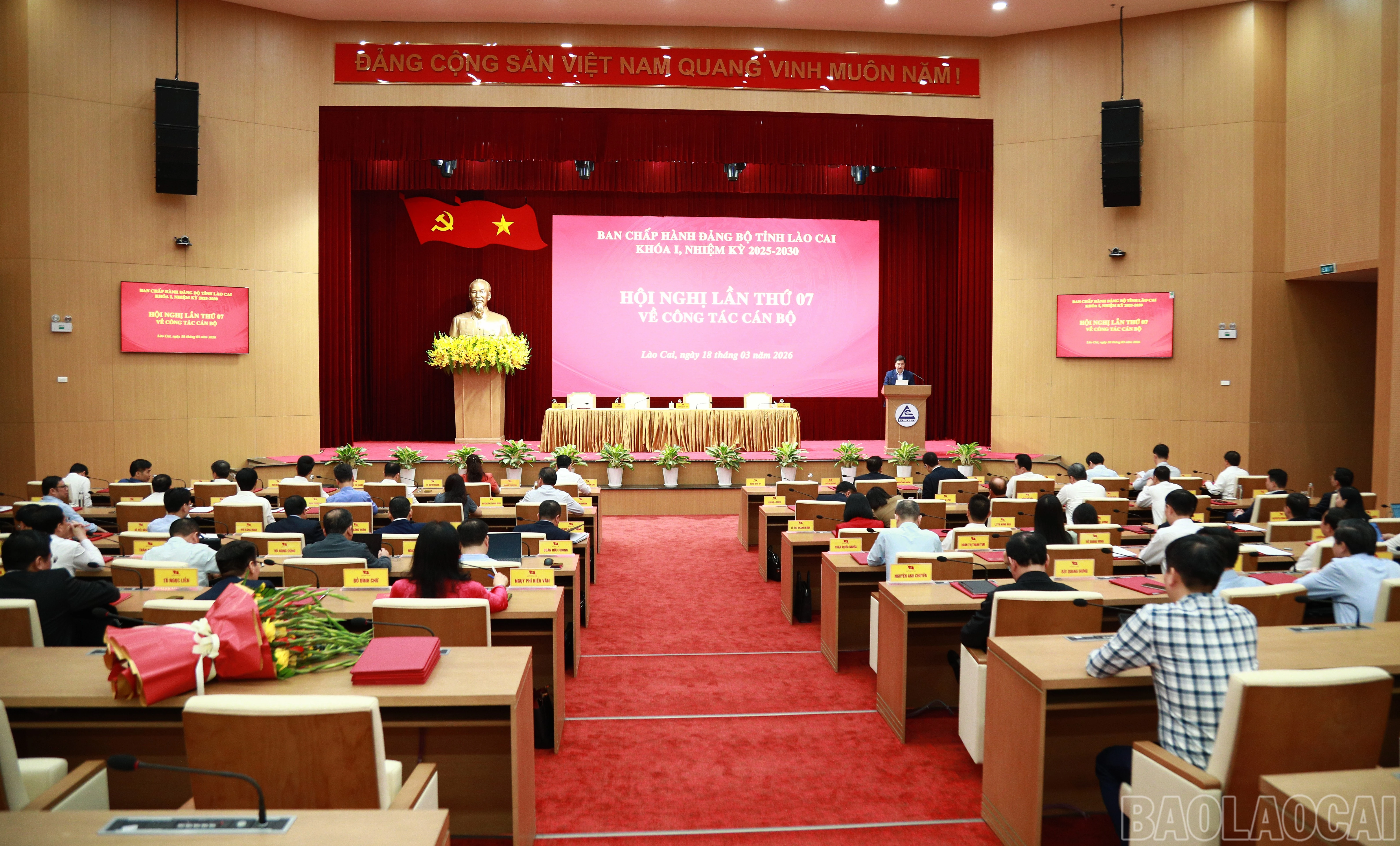 baolaocai-br_7j5a8548.jpg