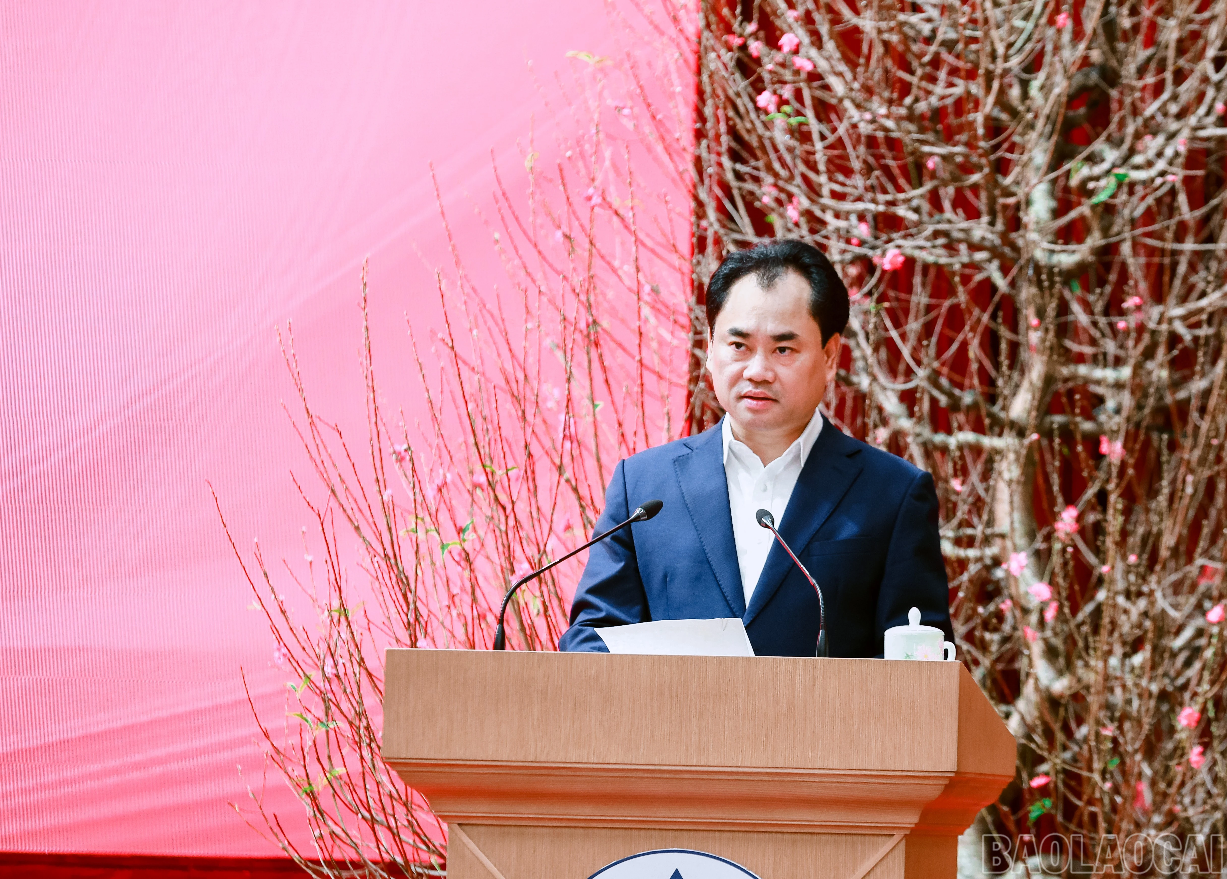 baolaocai-br_7j5a3996.jpg