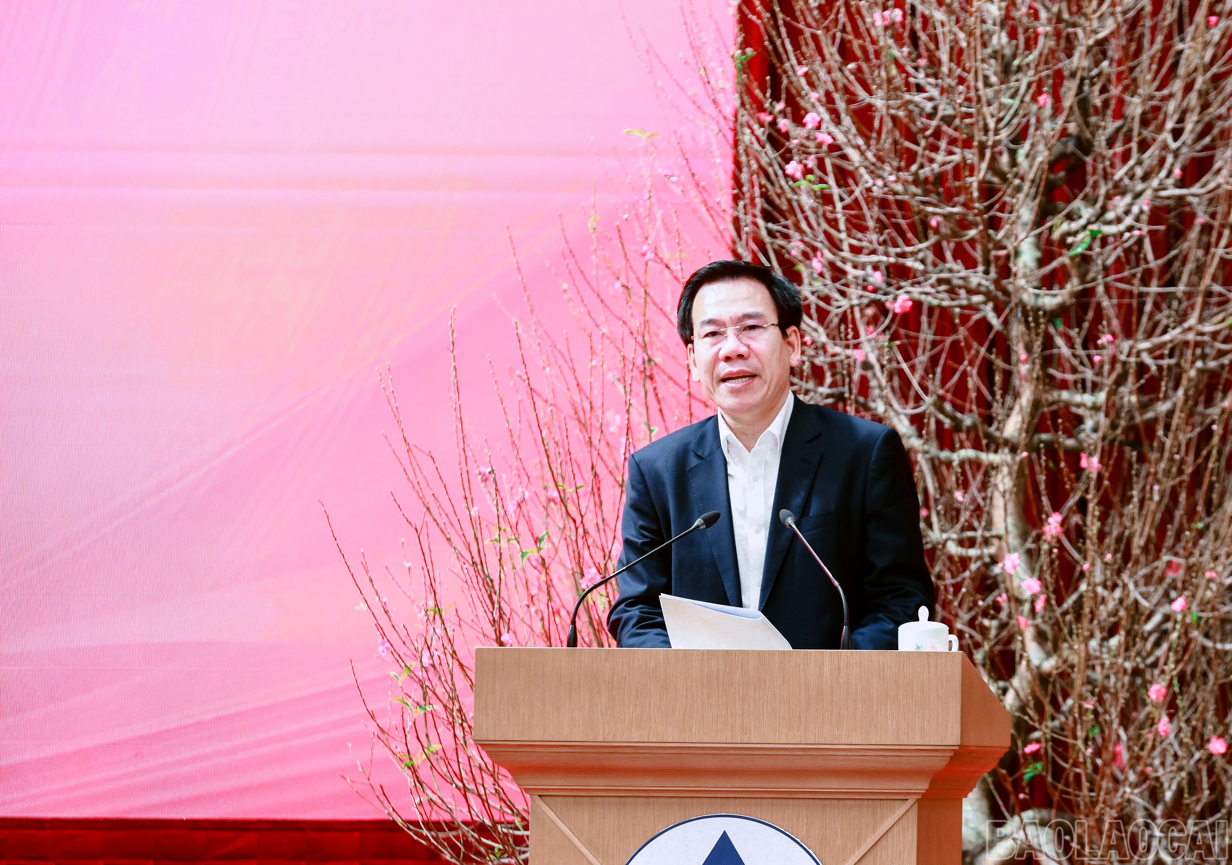 baolaocai-br_7j5a4103.jpg