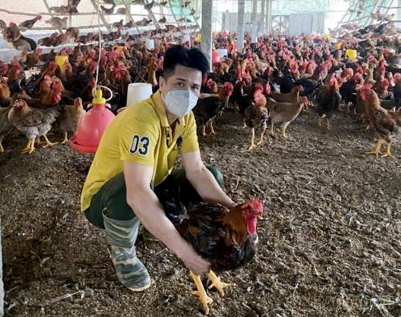 Nhờ phát huy hiệu quả nguồn vốn vay ưu đãi, đến nay, gia đình anh Trần Văn Quyền, thôn Nhò Trong, xã Xuân Quang đã xây dựng được trang trại nuôi gà với quy mô 10.000 con /lứa, trừ chi phí mỗi năm cho thu nhập khoảng 300 - 400 triệu đồng. baolaocai-br_gen-n-z7029000881155-3c6c006fb08ad9e63cc8761617a3f4d3.jpg