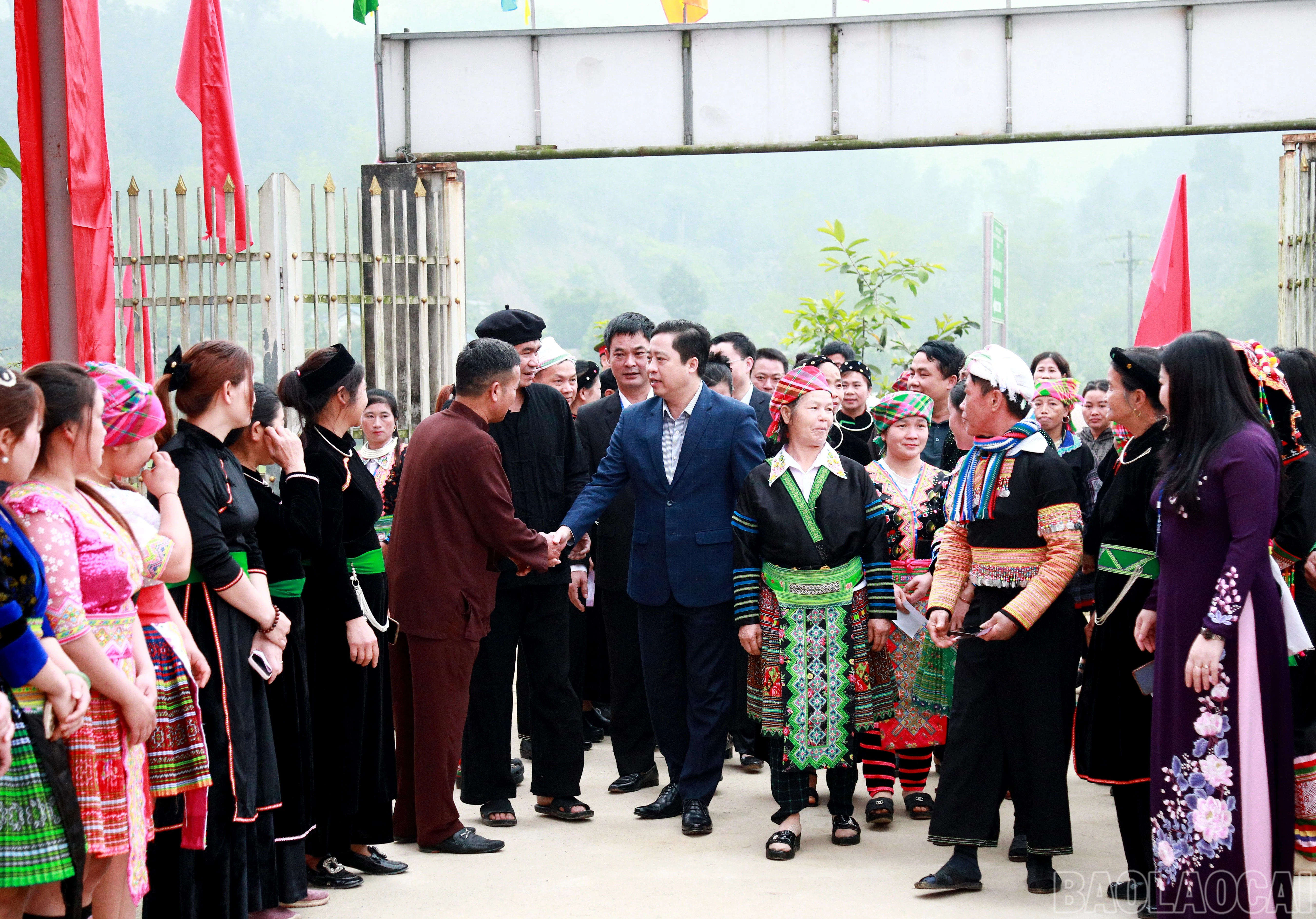 baolaocai-br_7j5a7719.jpg