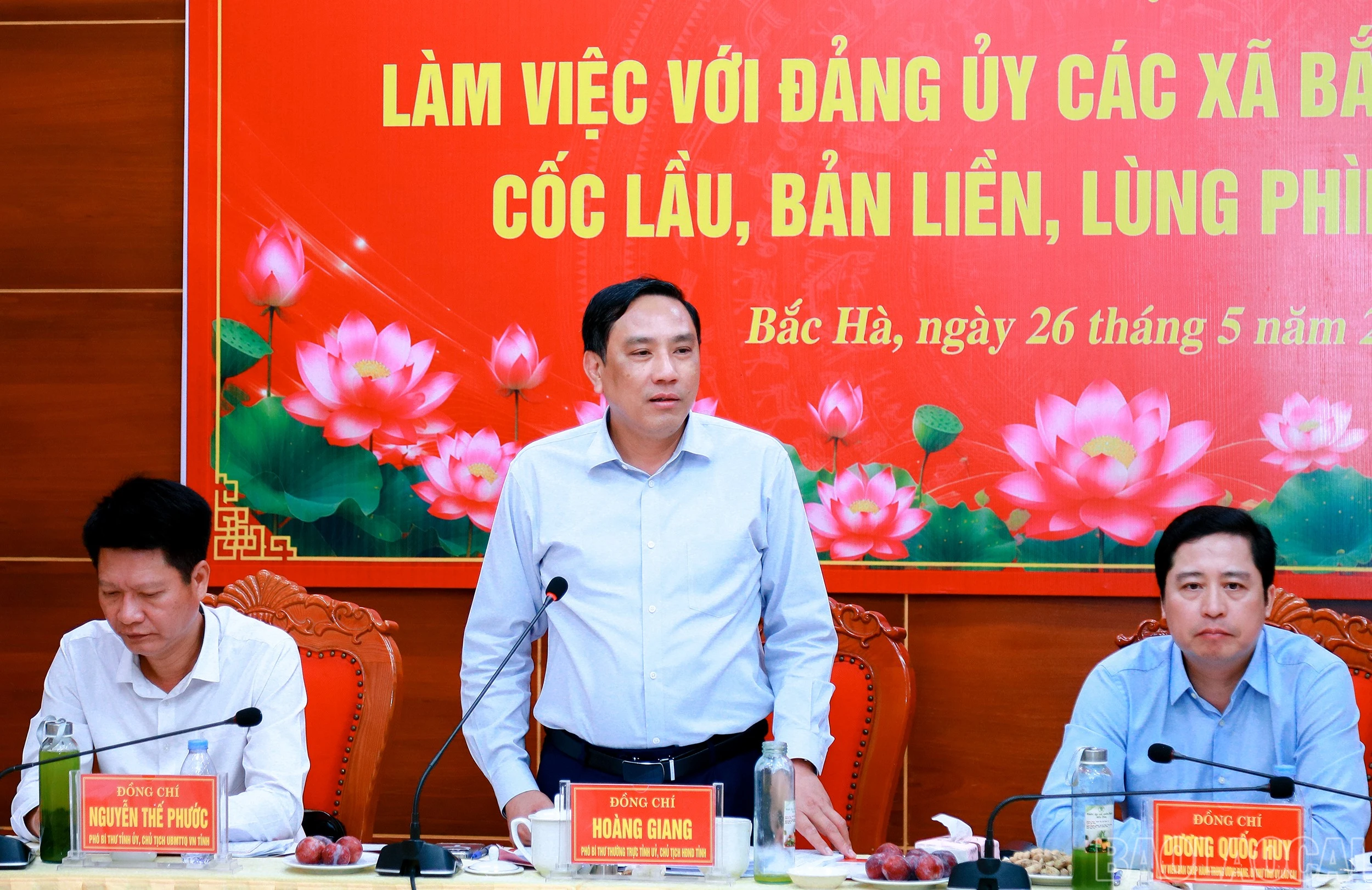 baolaocai-br_7j5a0222.jpg