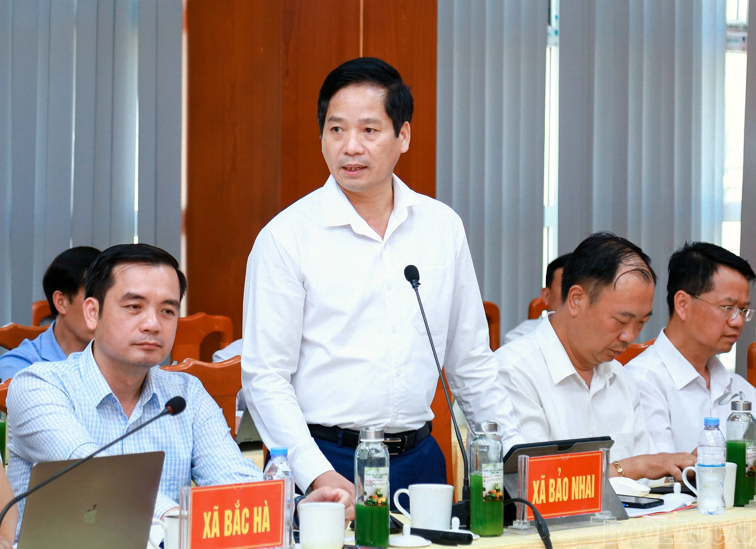 baolaocai-br_7j5a0055.jpg