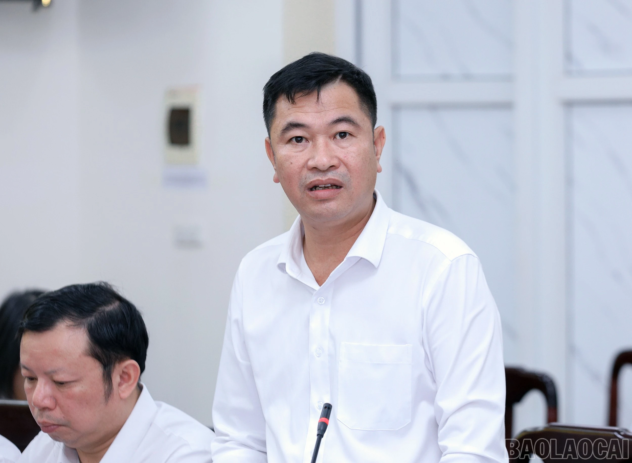 baolaocai-br_7j5a0954.jpg