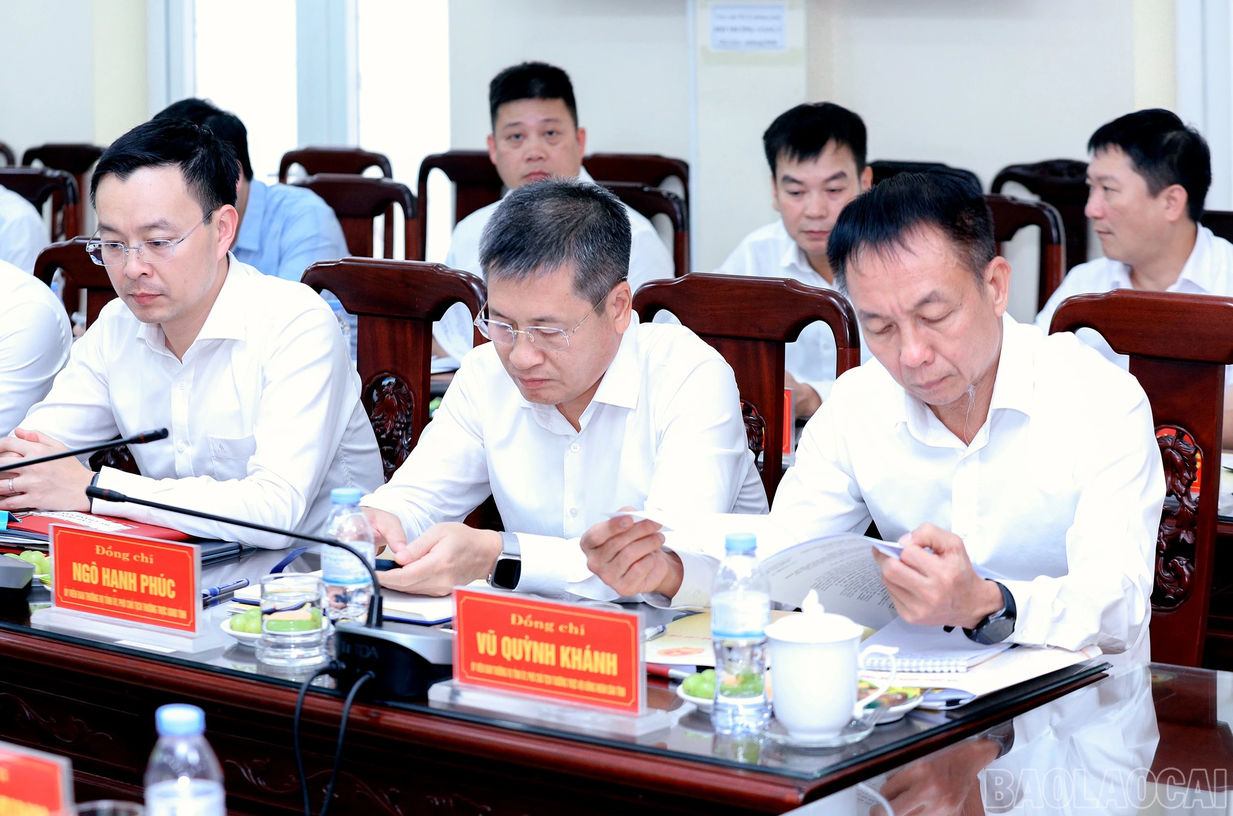 baolaocai-br_7j5a0880.jpg