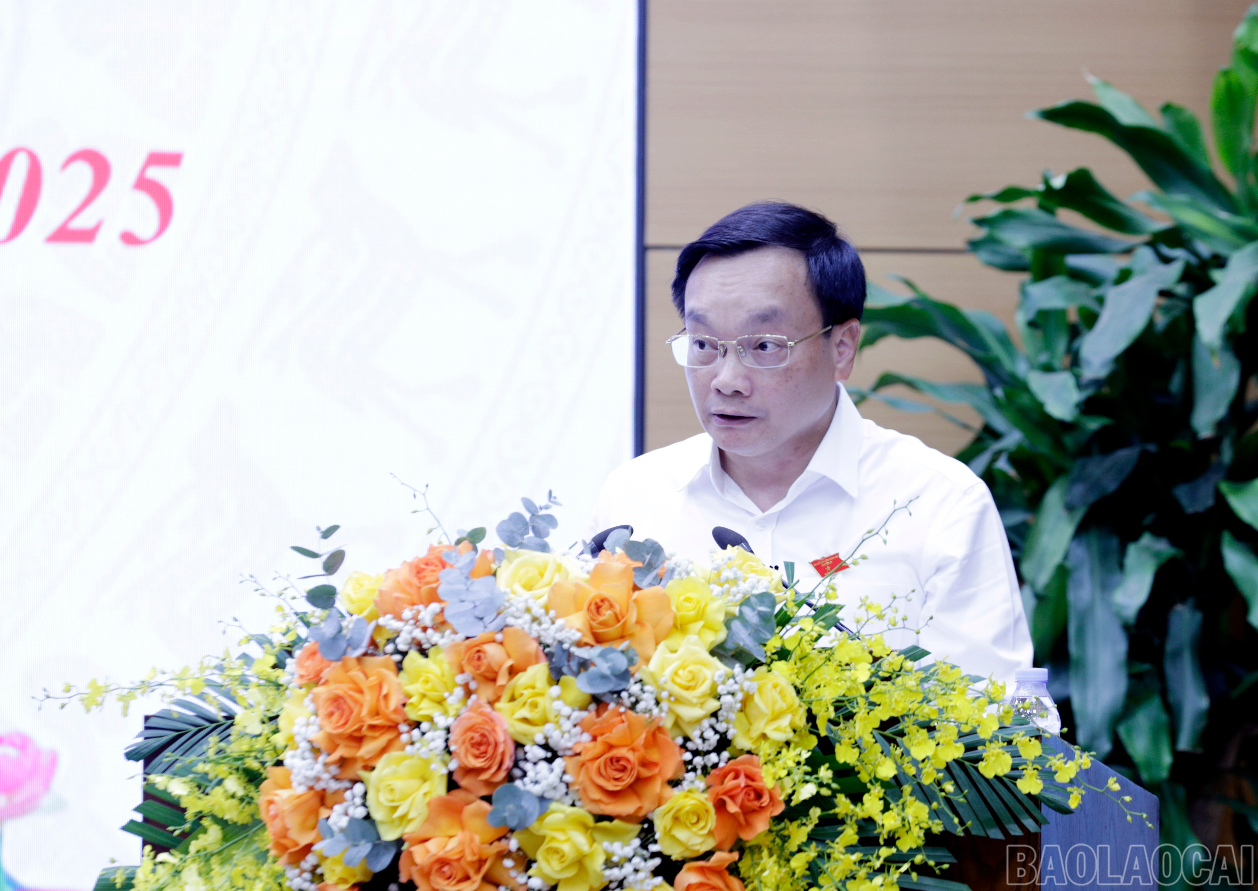baolaocai-br_mg-9921.jpg