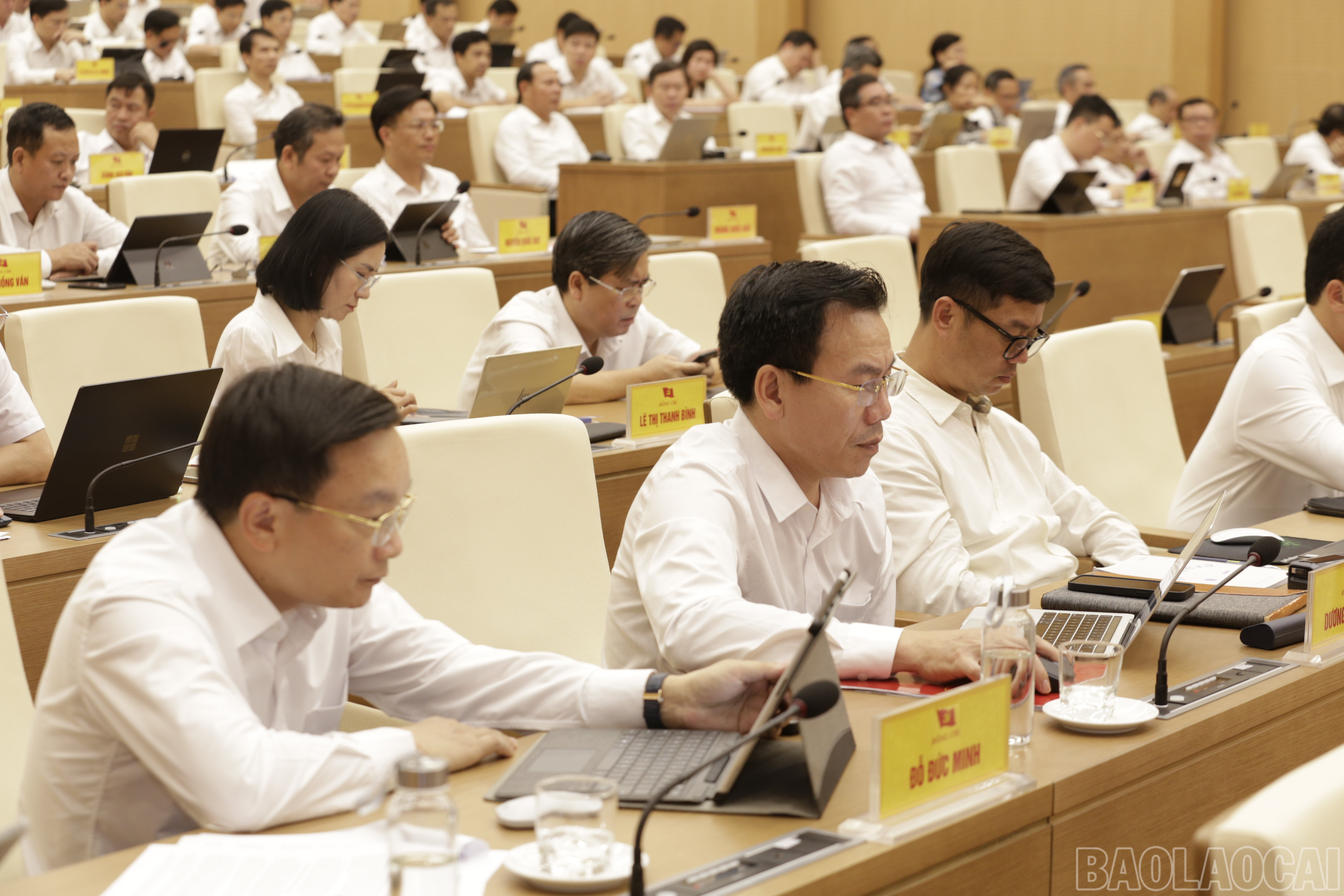baolaocai-br_mg-9750.jpg