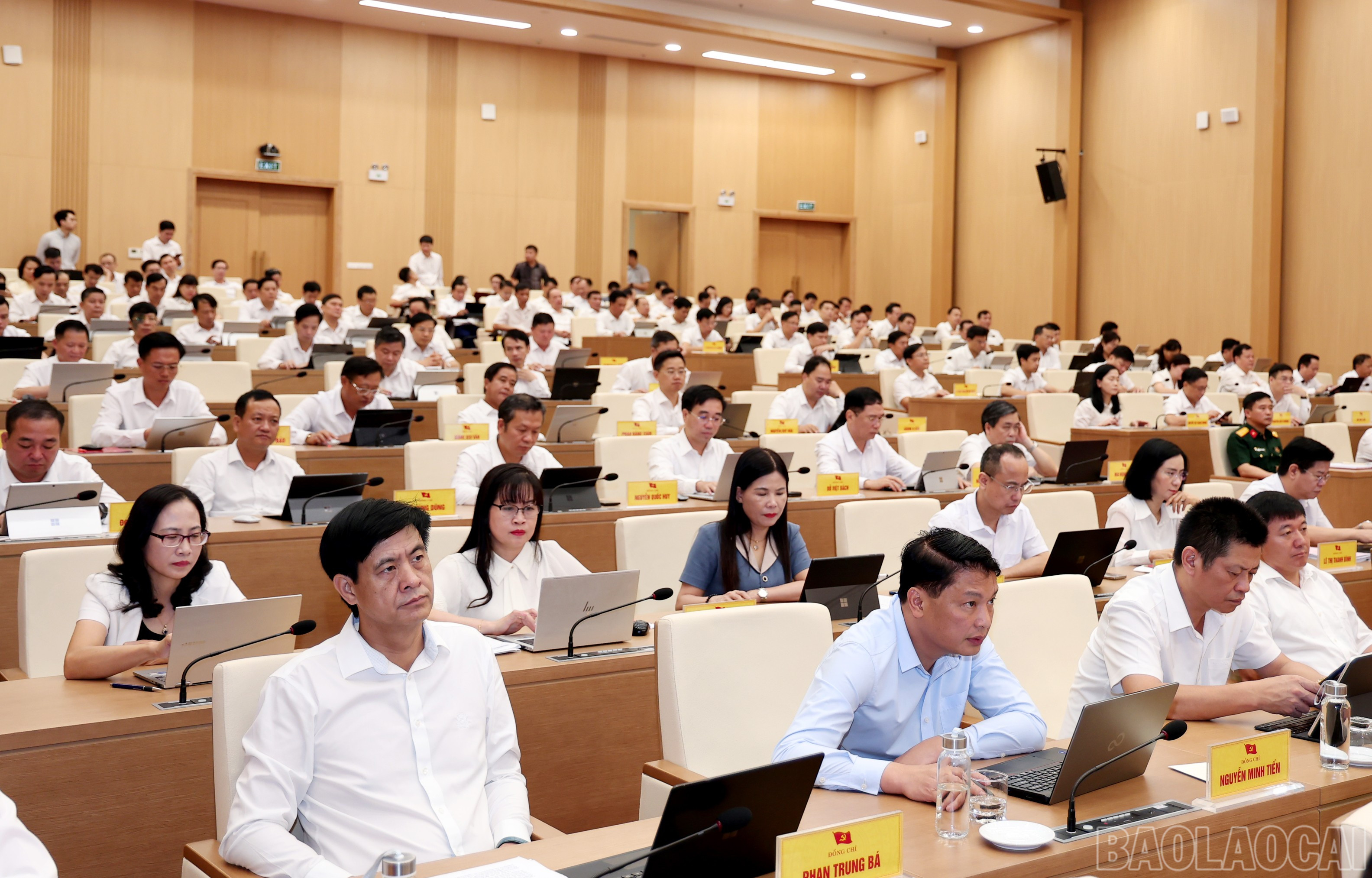 baolaocai-br_img-4783.jpg