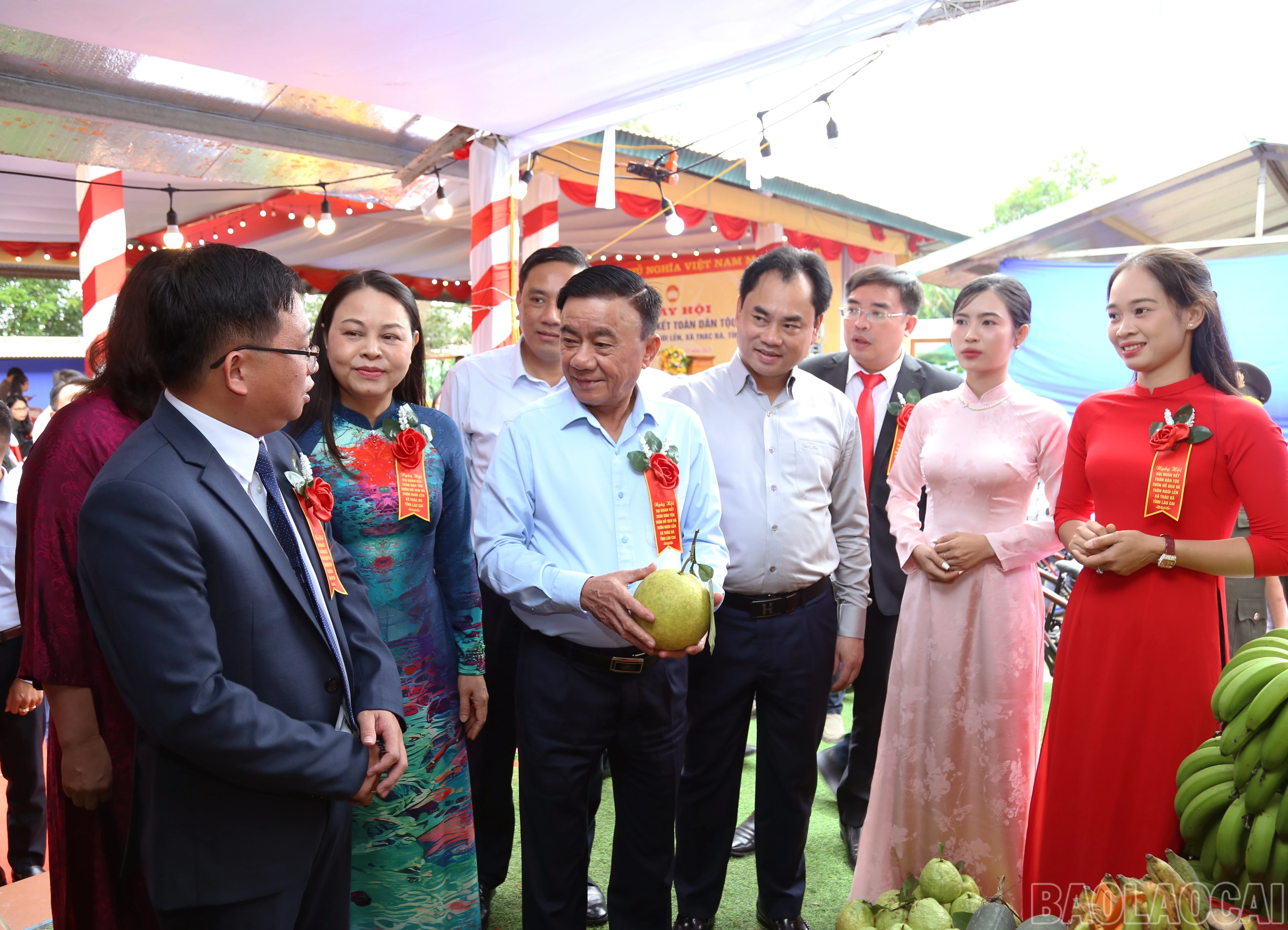 baolaocai-br_img-0880.jpg