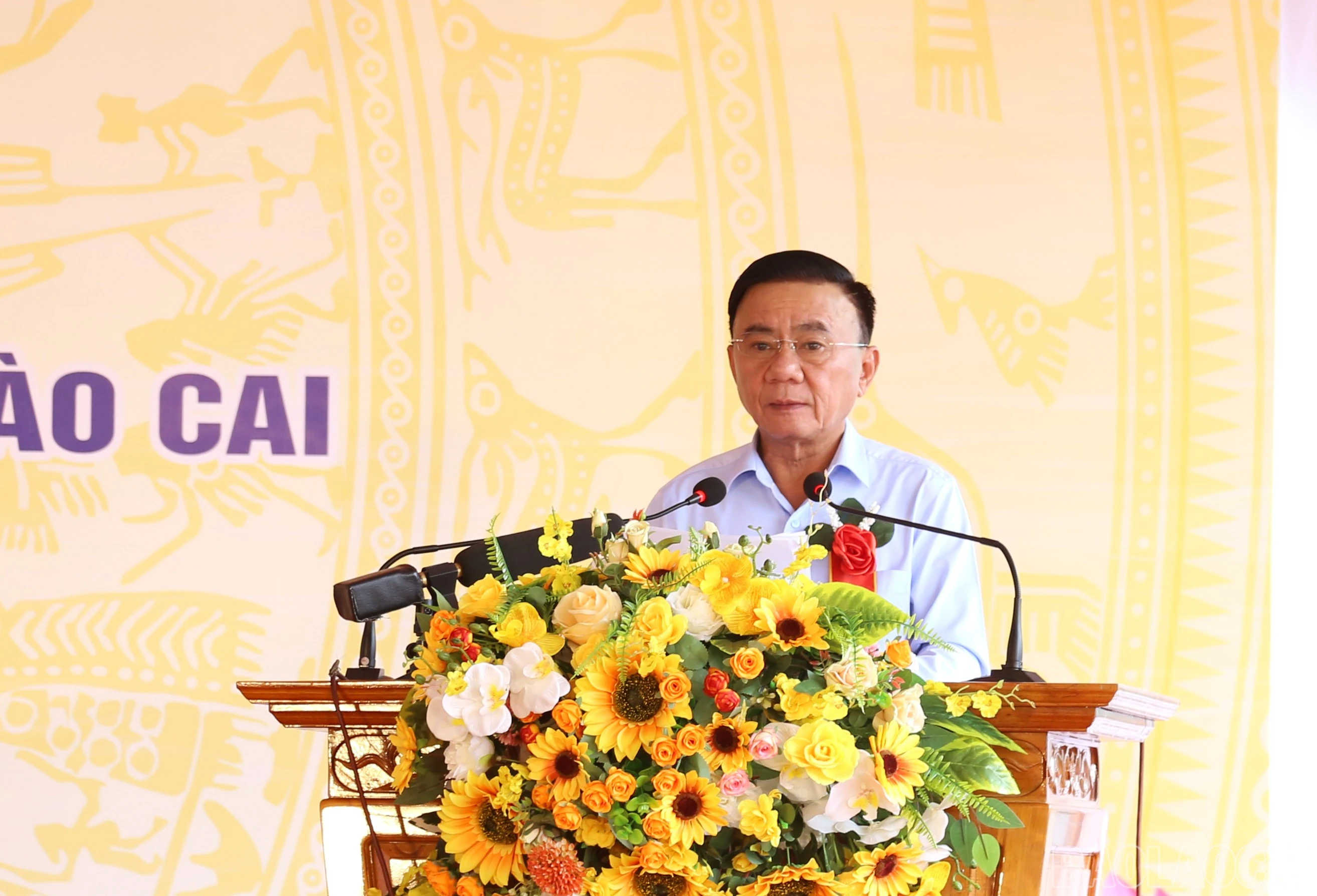 baolaocai-br_img-0778.jpg