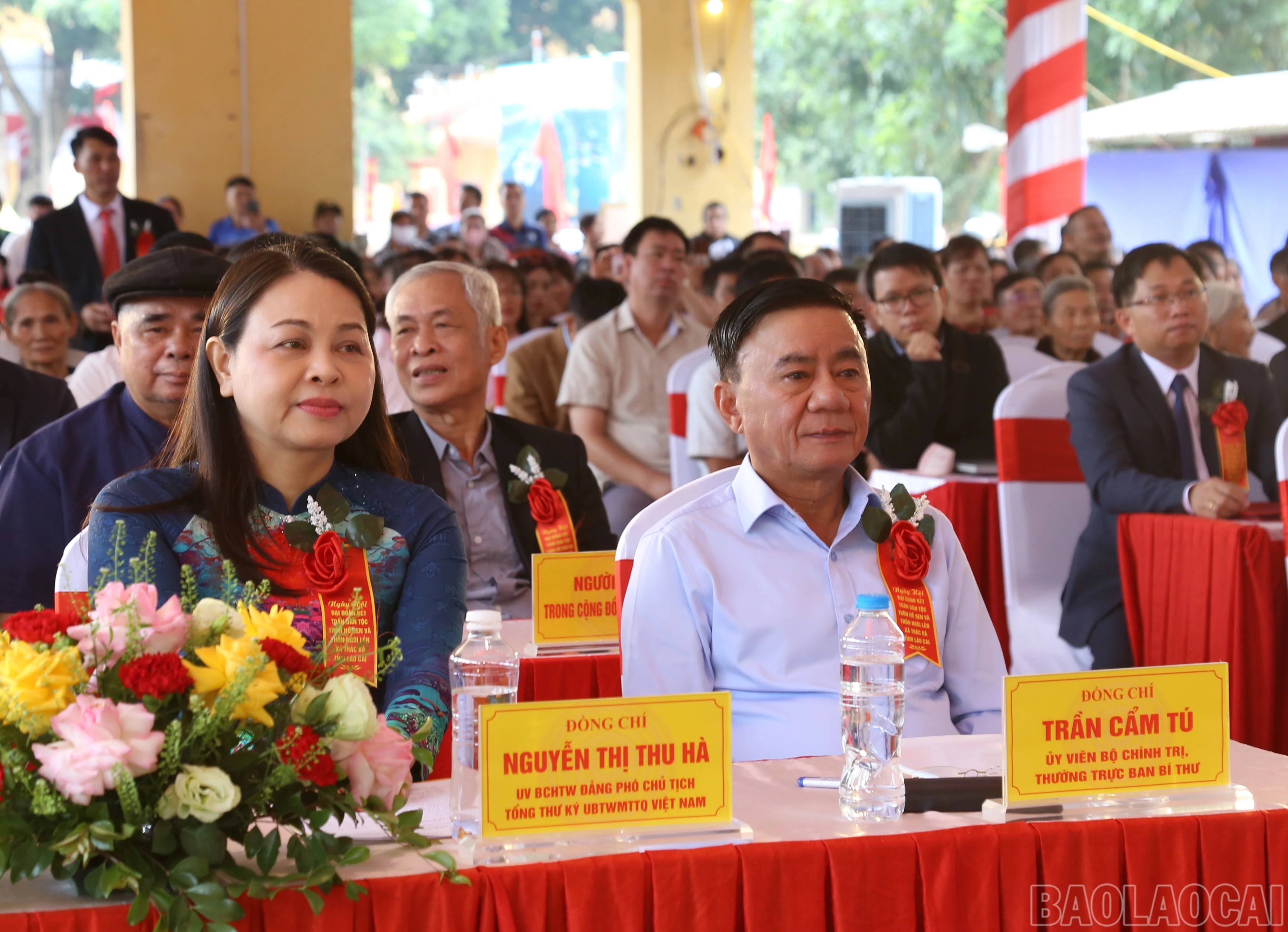 baolaocai-br_img-0733.jpg