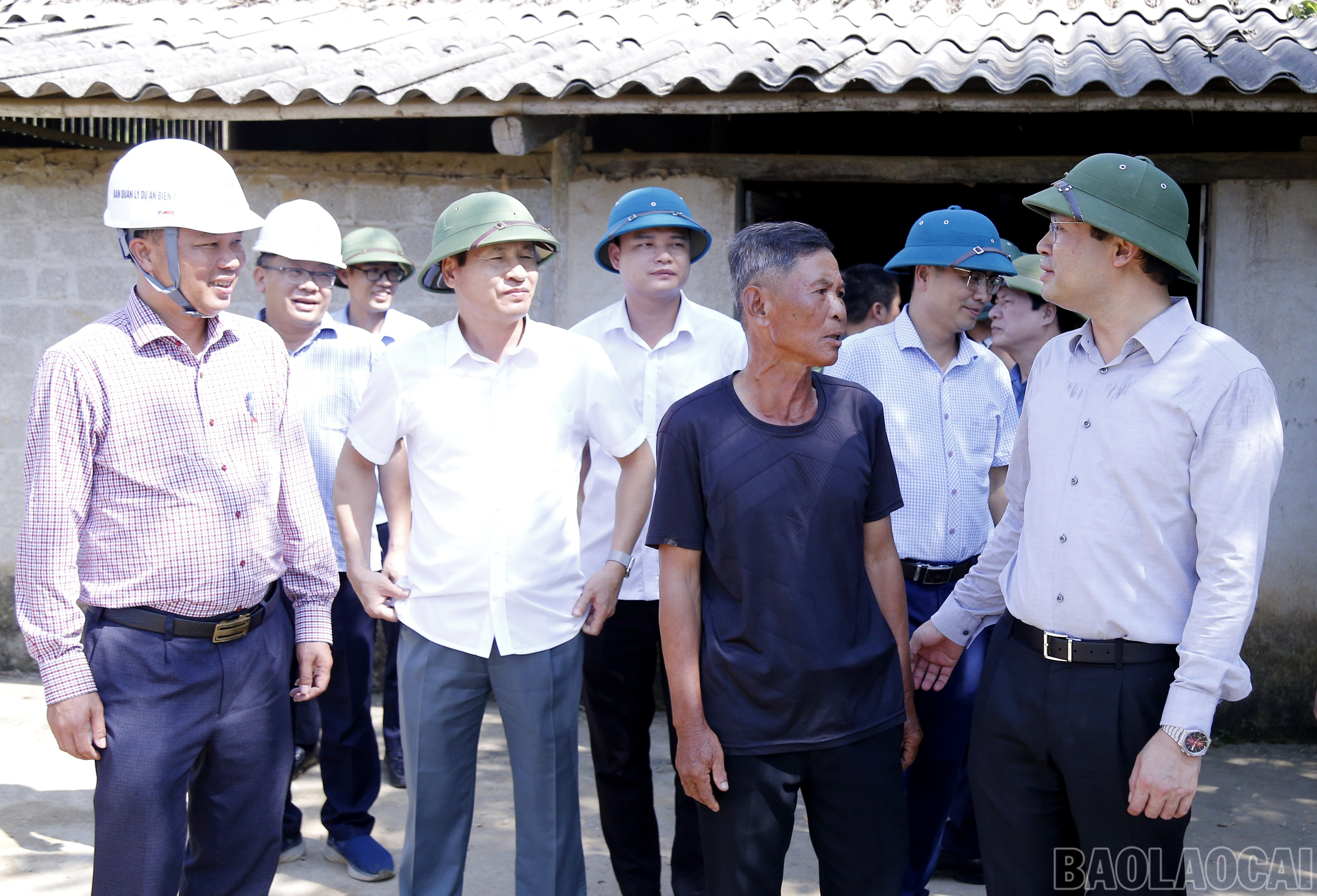 baolaocai-br_mg-5851.jpg