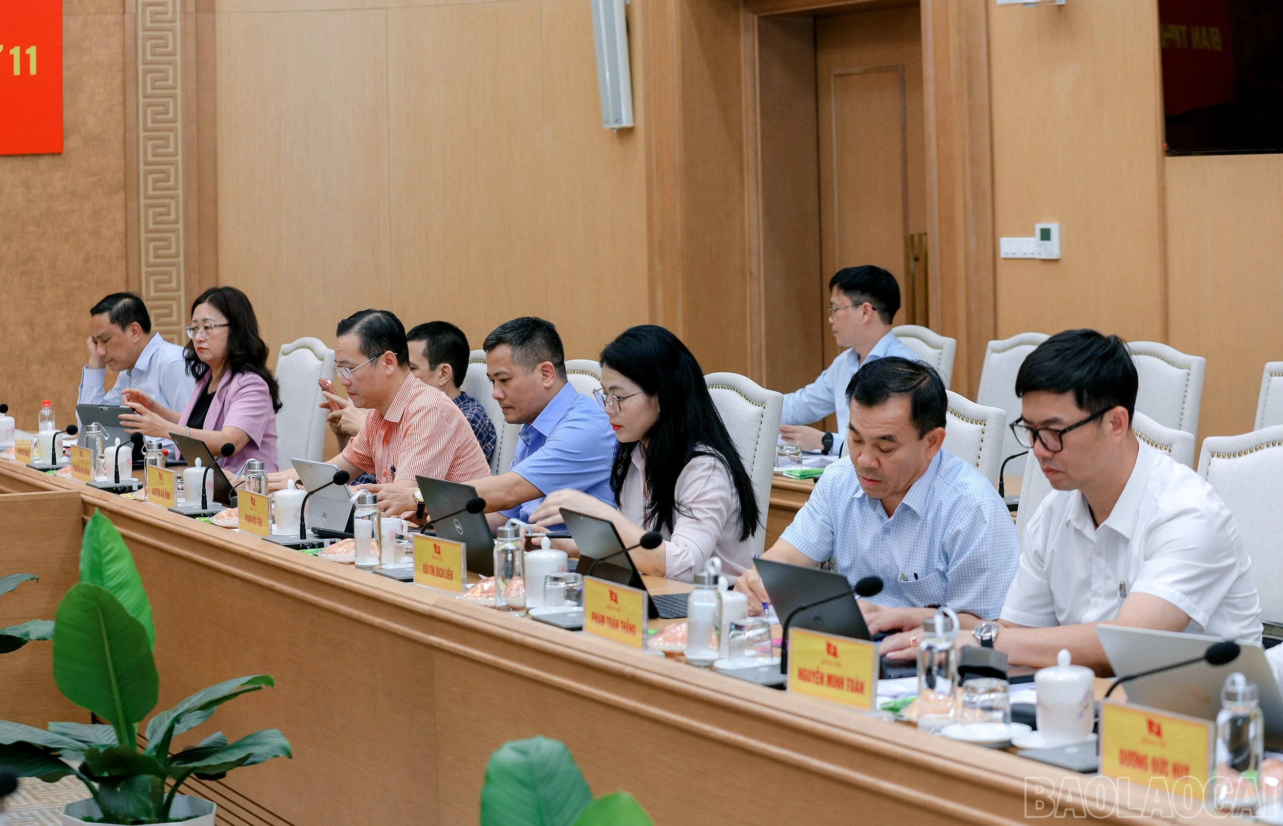 baolaocai-br_7j5a3547.jpg