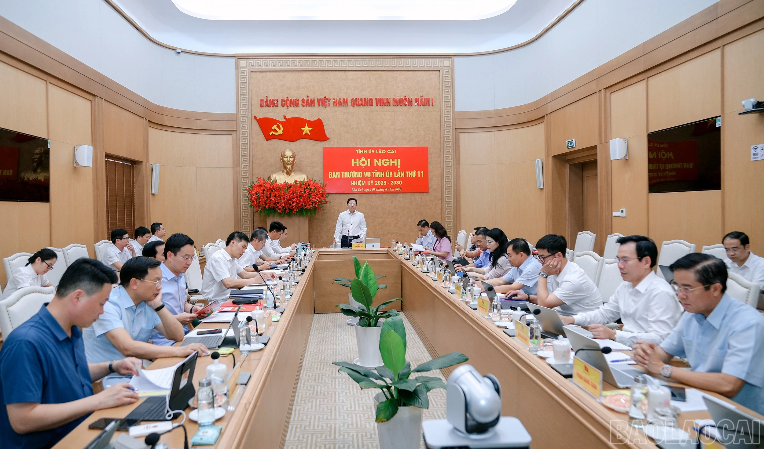 baolaocai-br_7j5a3524.jpg
