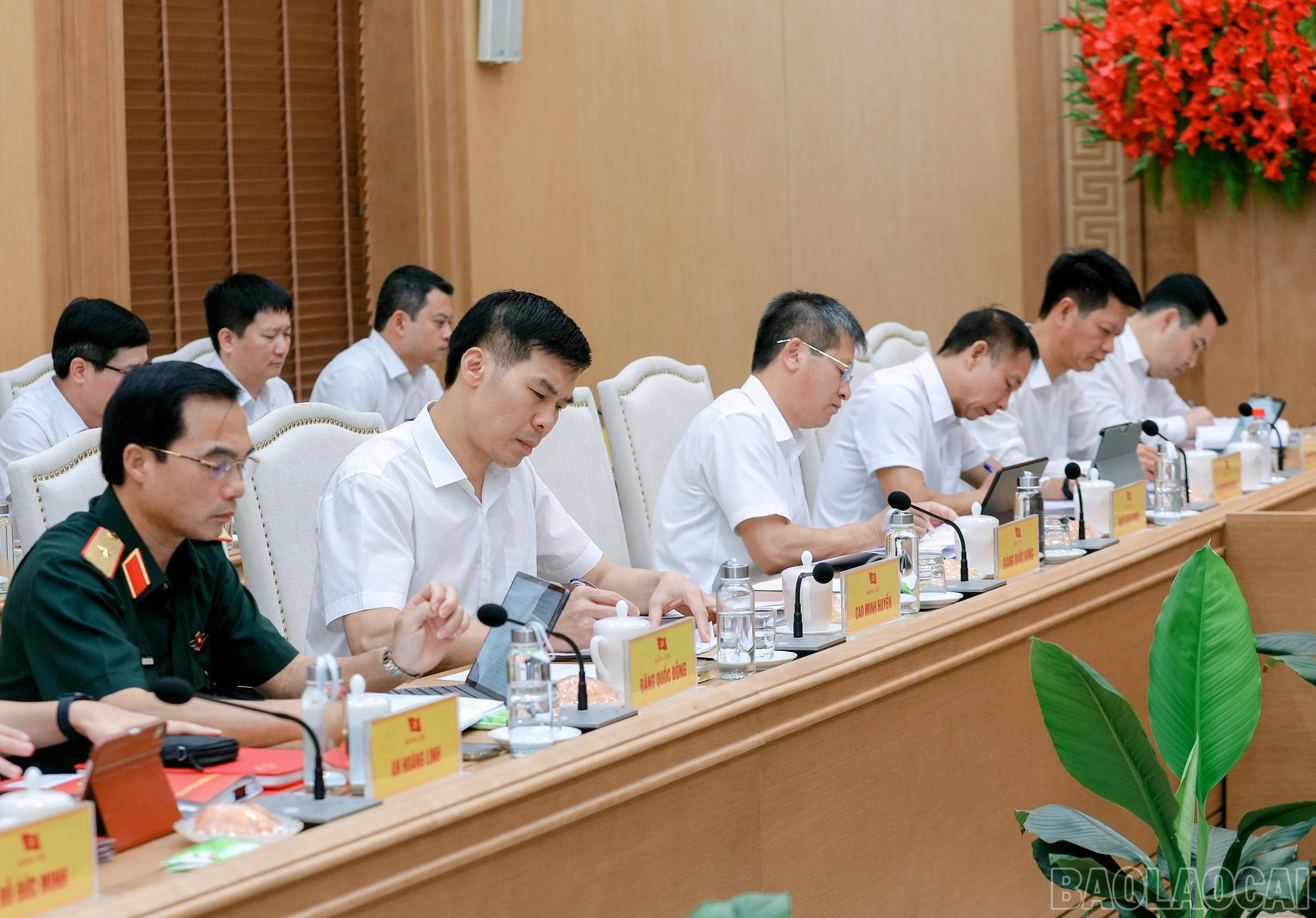 baolaocai-br_7j5a3550.jpg