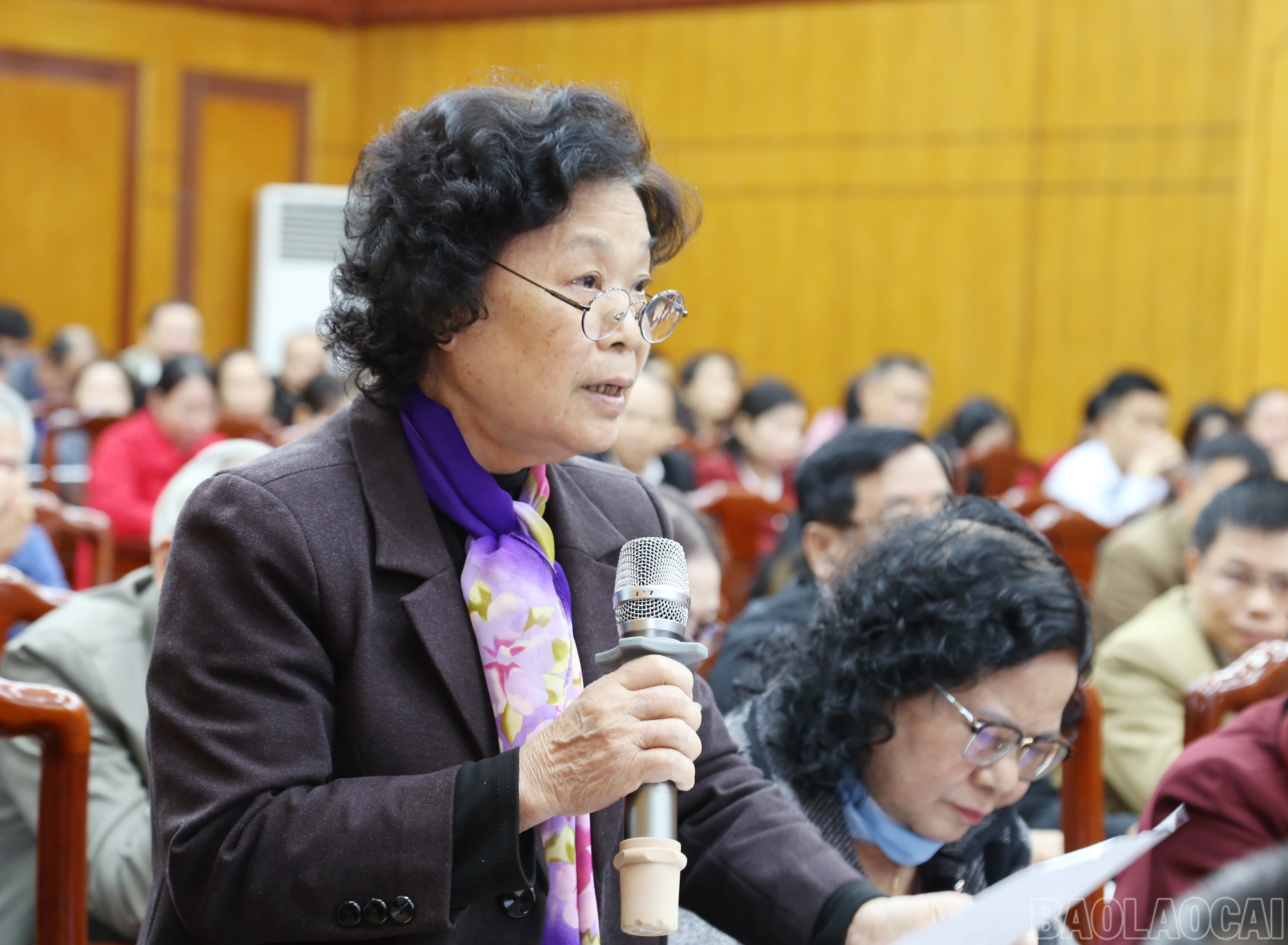 baolaocai-br_img-1066.jpg