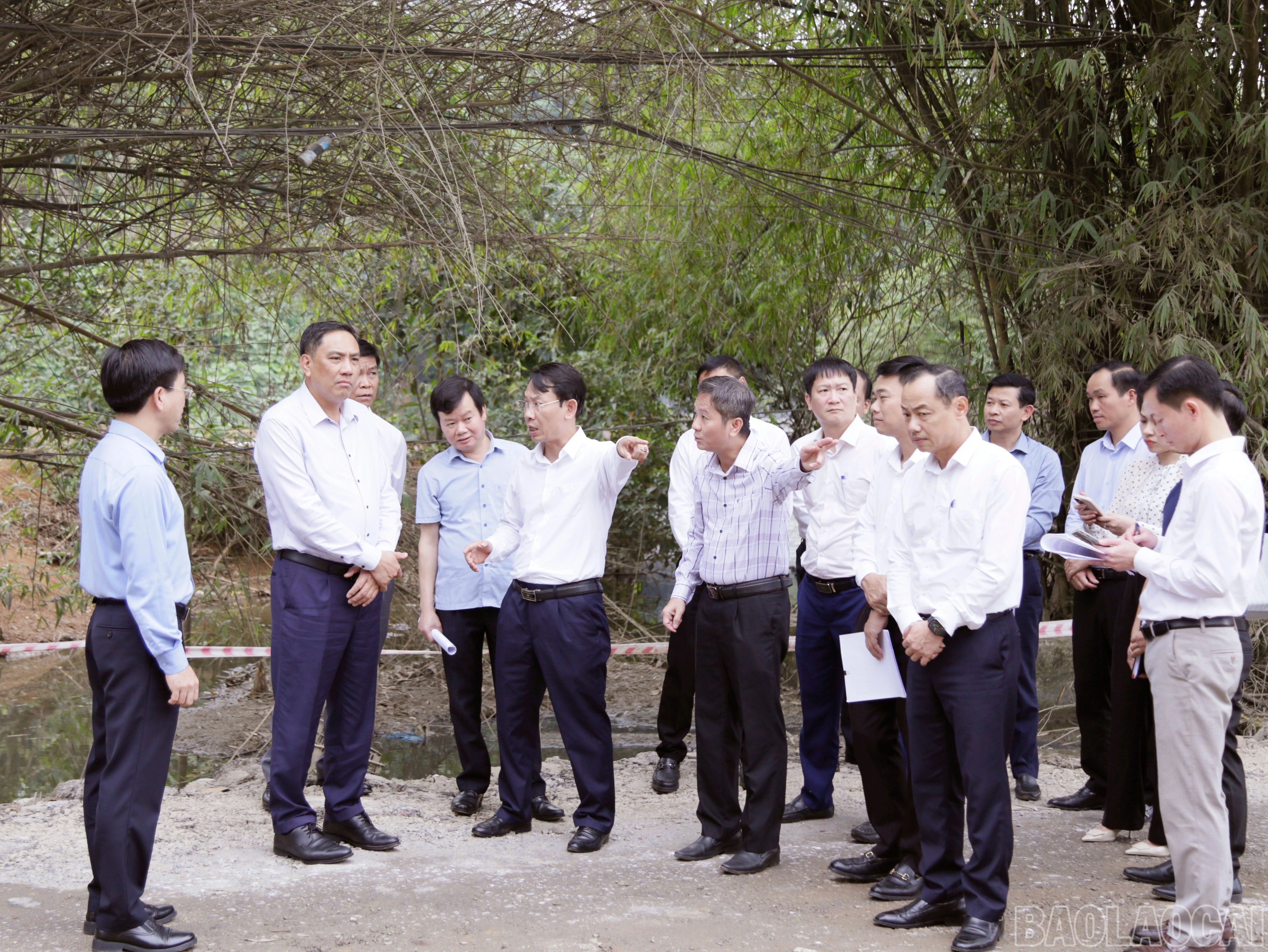 baolaocai-br_mg-9897.jpg