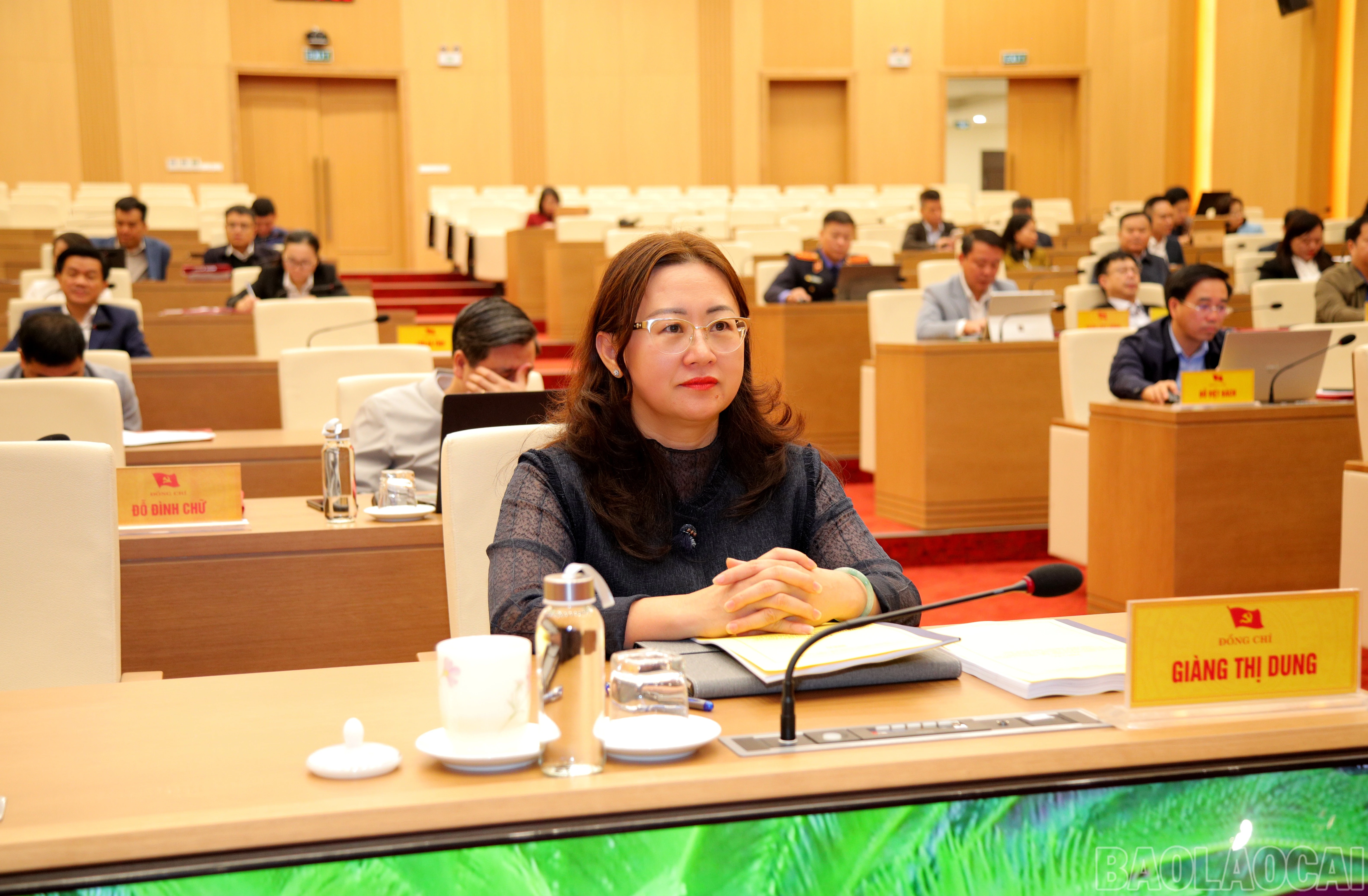 baolaocai-br_7j5a8336.jpg