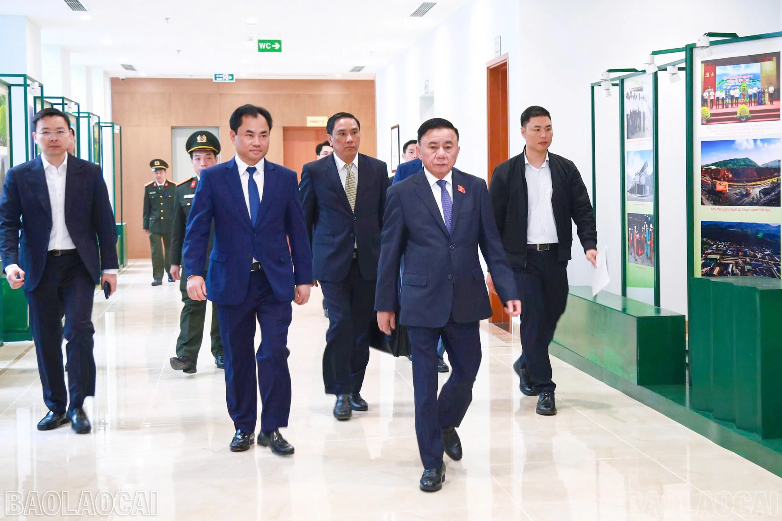baolaocai-br_z7335051848412-458fbcdcf42f671d098b68e48bfafb51.jpg