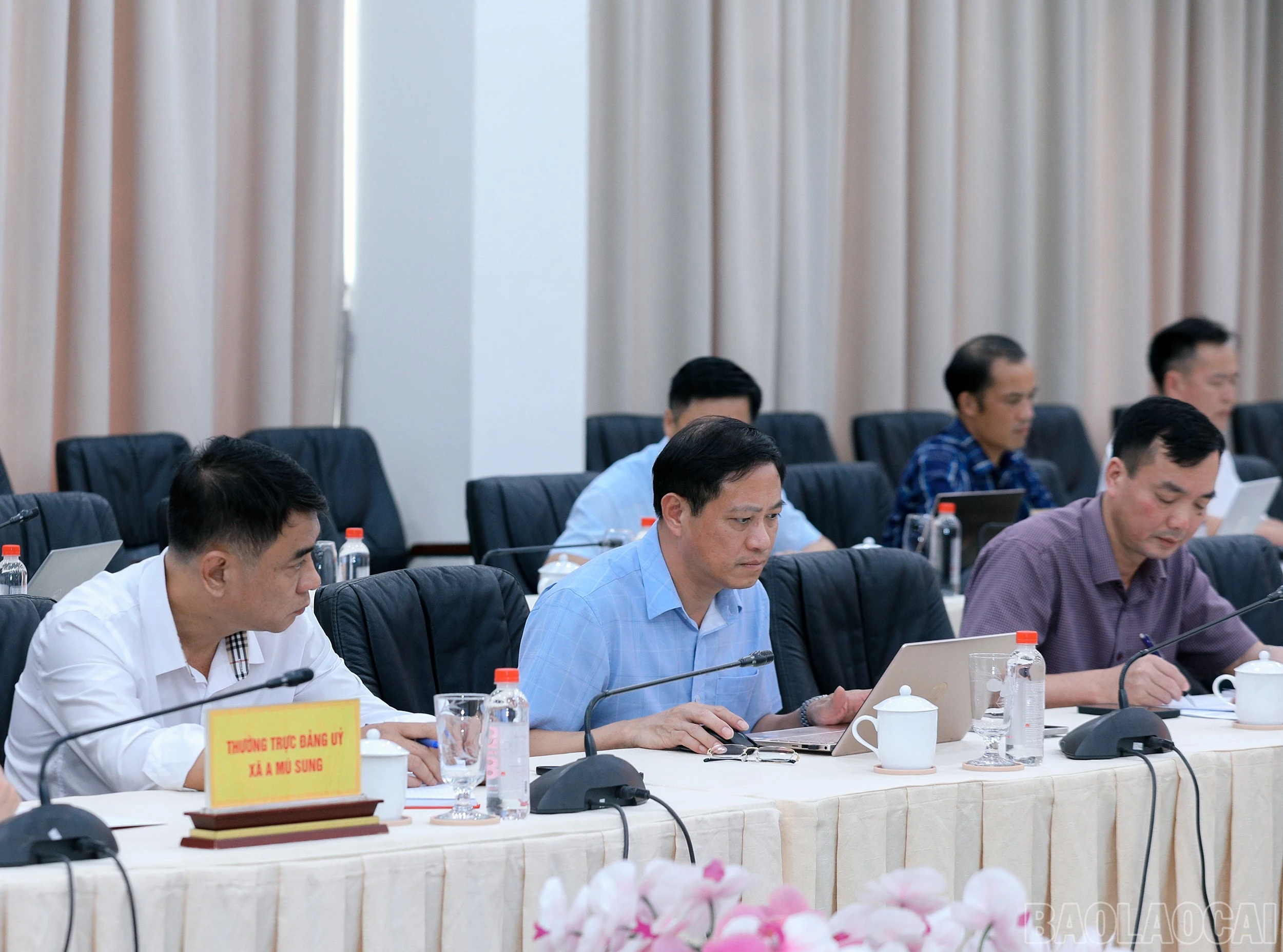 baolaocai-br_7j5a2396.jpg