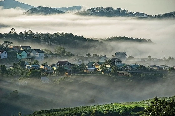 da lat xu ngan hoa