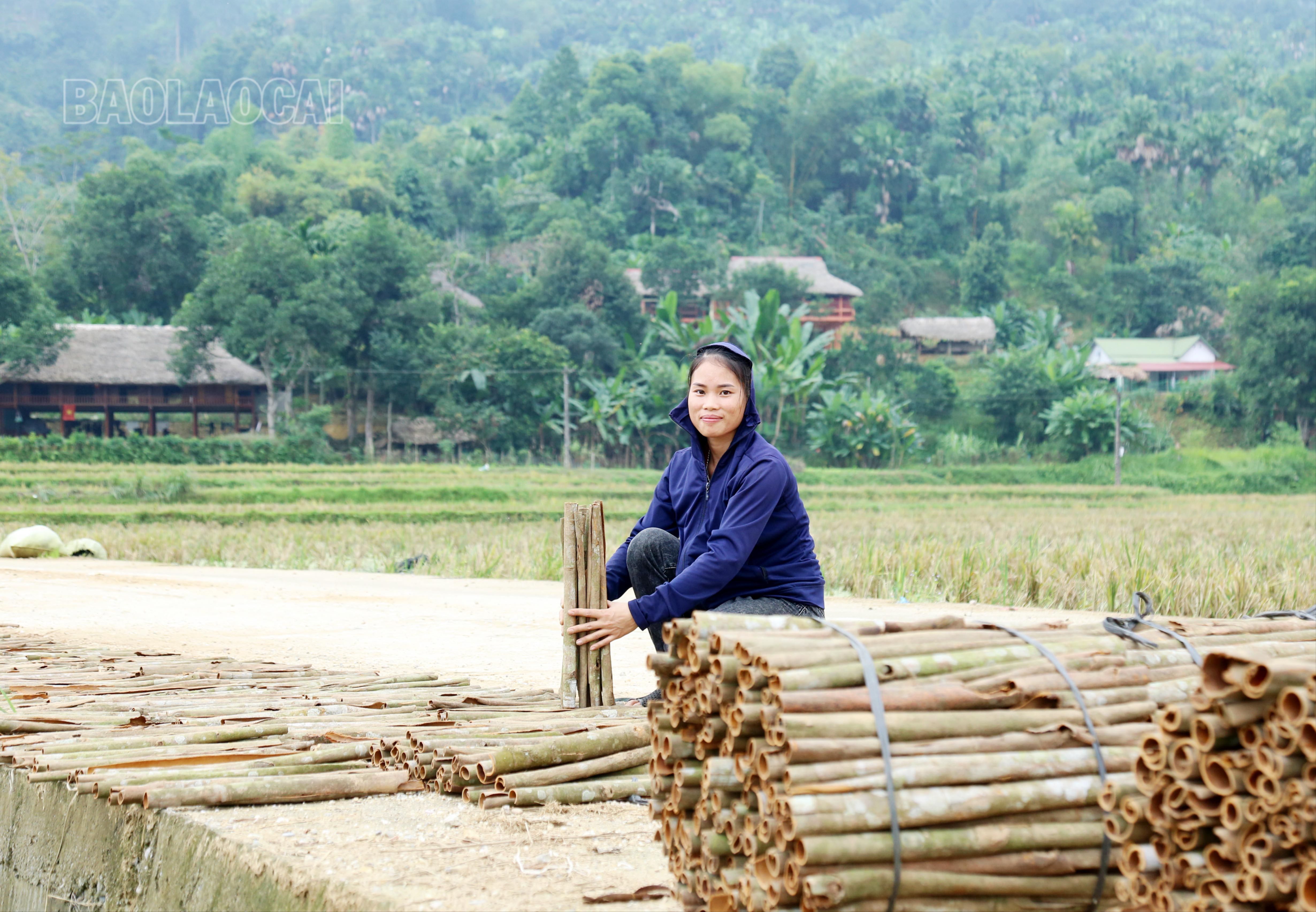 Quế hữu cơ là sản phẩm hàng hóa thế mạnh của các mô hình kinh tế do phụ nữ xã Vĩnh Yên làm chủ. IMG_1436.JPG