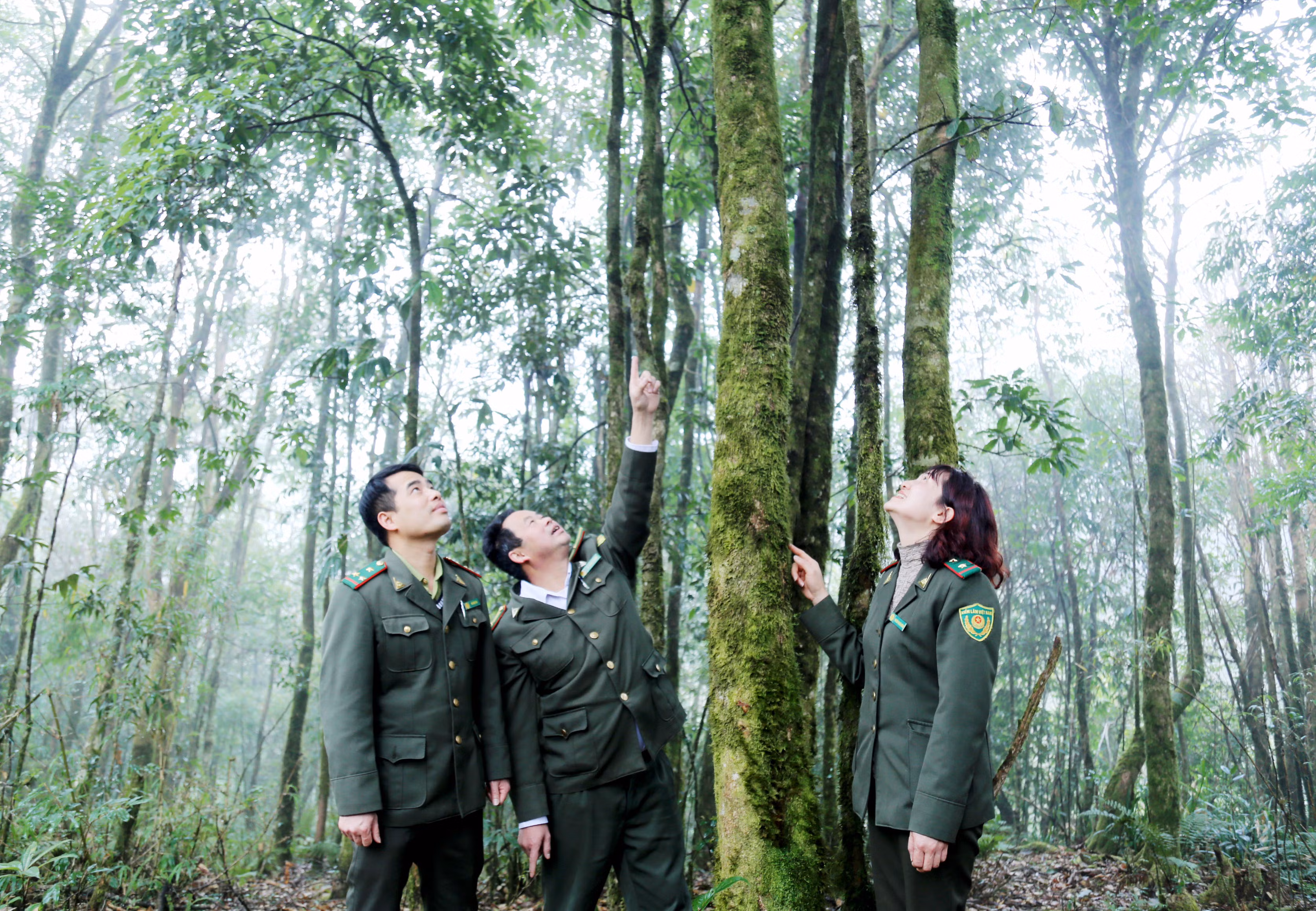 Vườn Quốc gia Hoàng Liên có nhiều loại thực vật trong Sách đỏ cần bảo vệ đặc biệt nghiêm ngặt như Vân sam Fansipan, Thiết sam, Liễu sam, Dẻ tùng, Thông đỏ, Tam thất, Đảng sâm, Nhất diệp thất chi hoa...