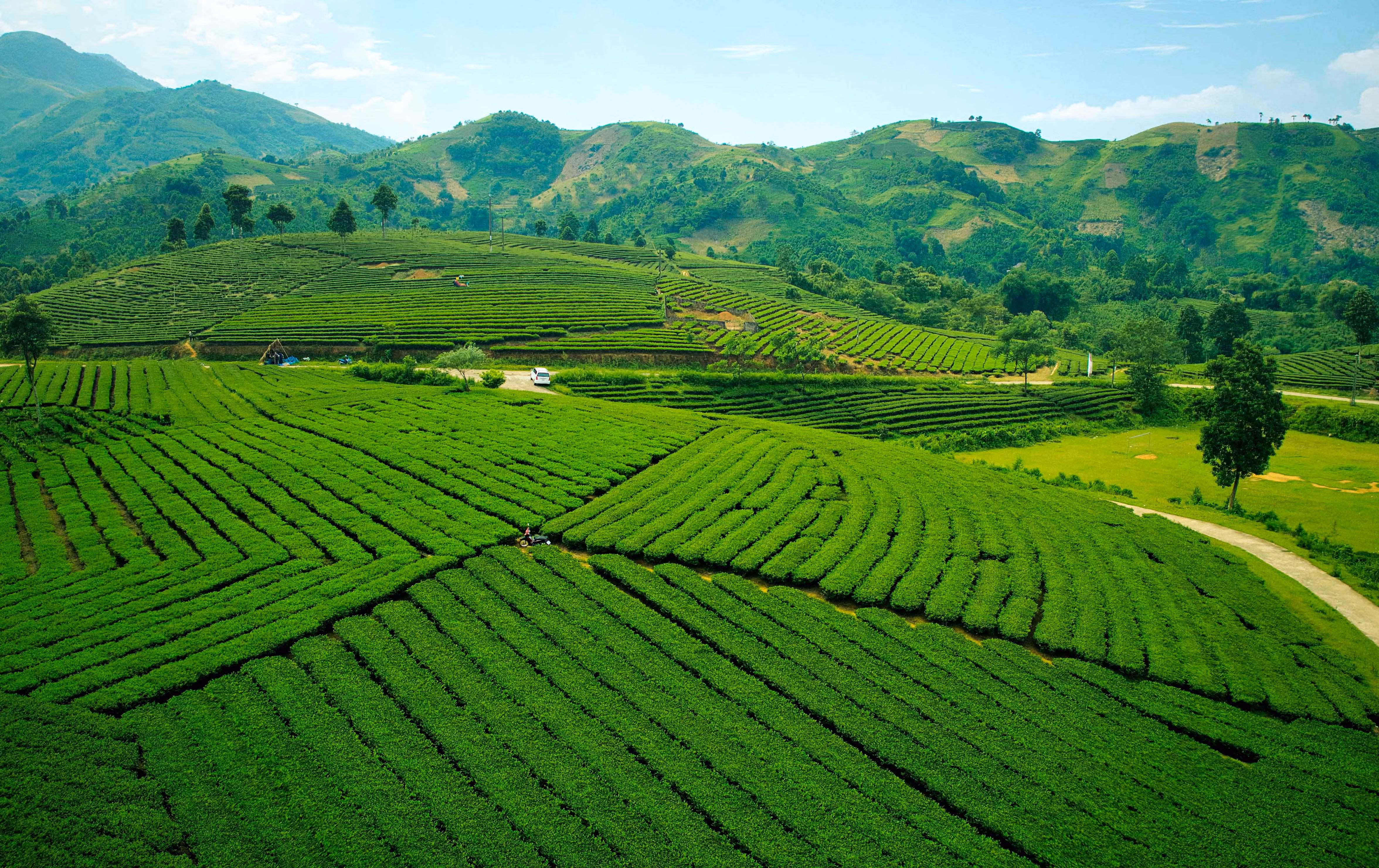 Bảo Thắng 41.jpeg