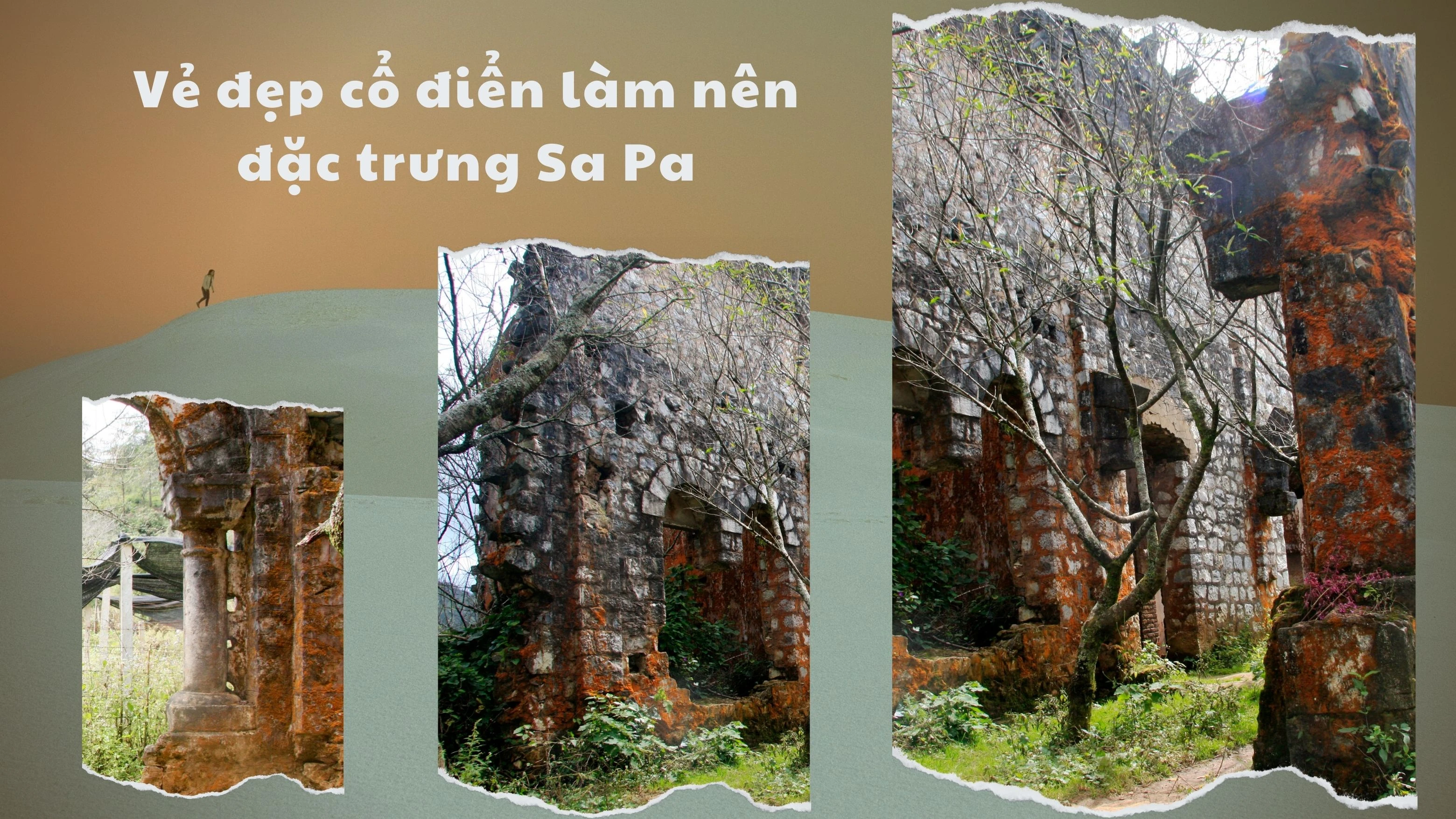 Brown Classic Scrapbook History Class Presentation.jpg