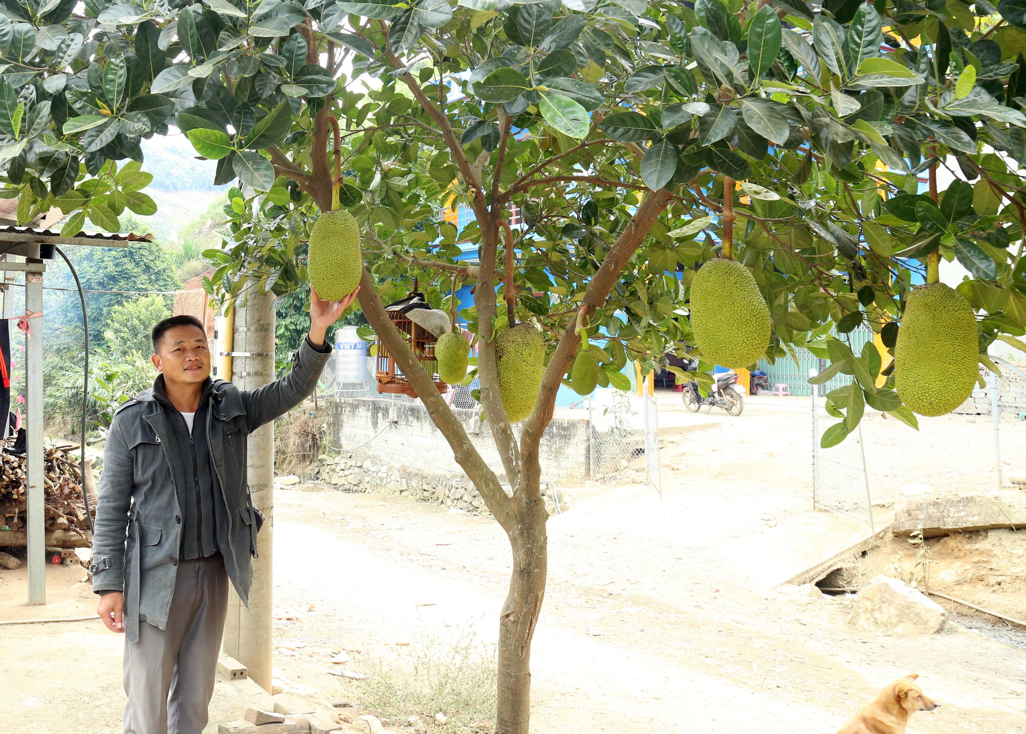 Bí thư Chi bộ Lũng Pô, đồng chí Ma Seo Lằng là tấm gương về phát triển kinh tế.