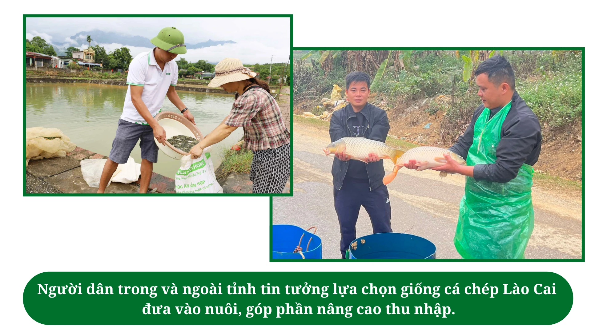 buoc-chuyen-trong-thuc-hien-chinh-sach-dan-so.png