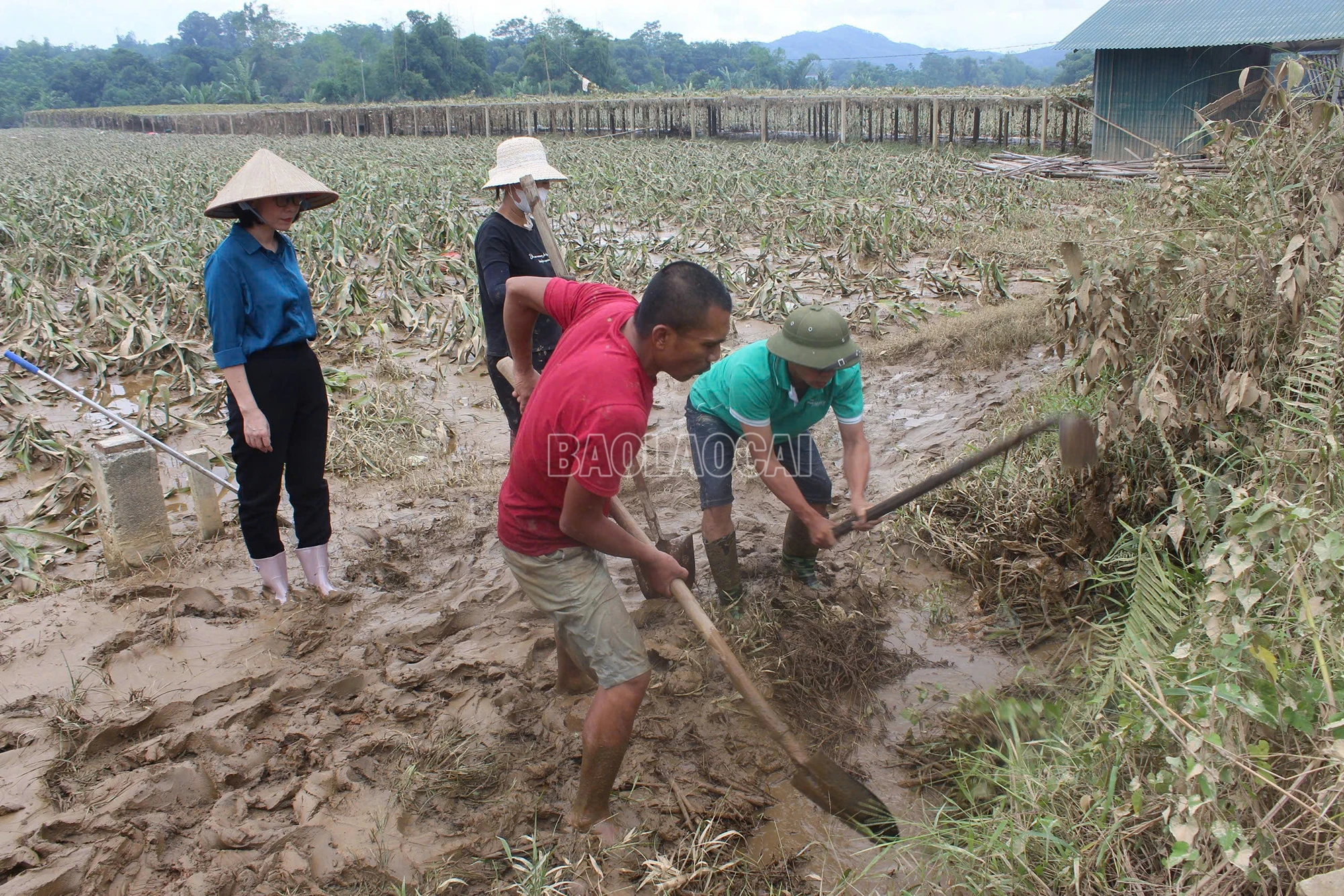 Cán bộ Khuyến nông hướng dẫn người dân tiêu úng sau lũ..jpg