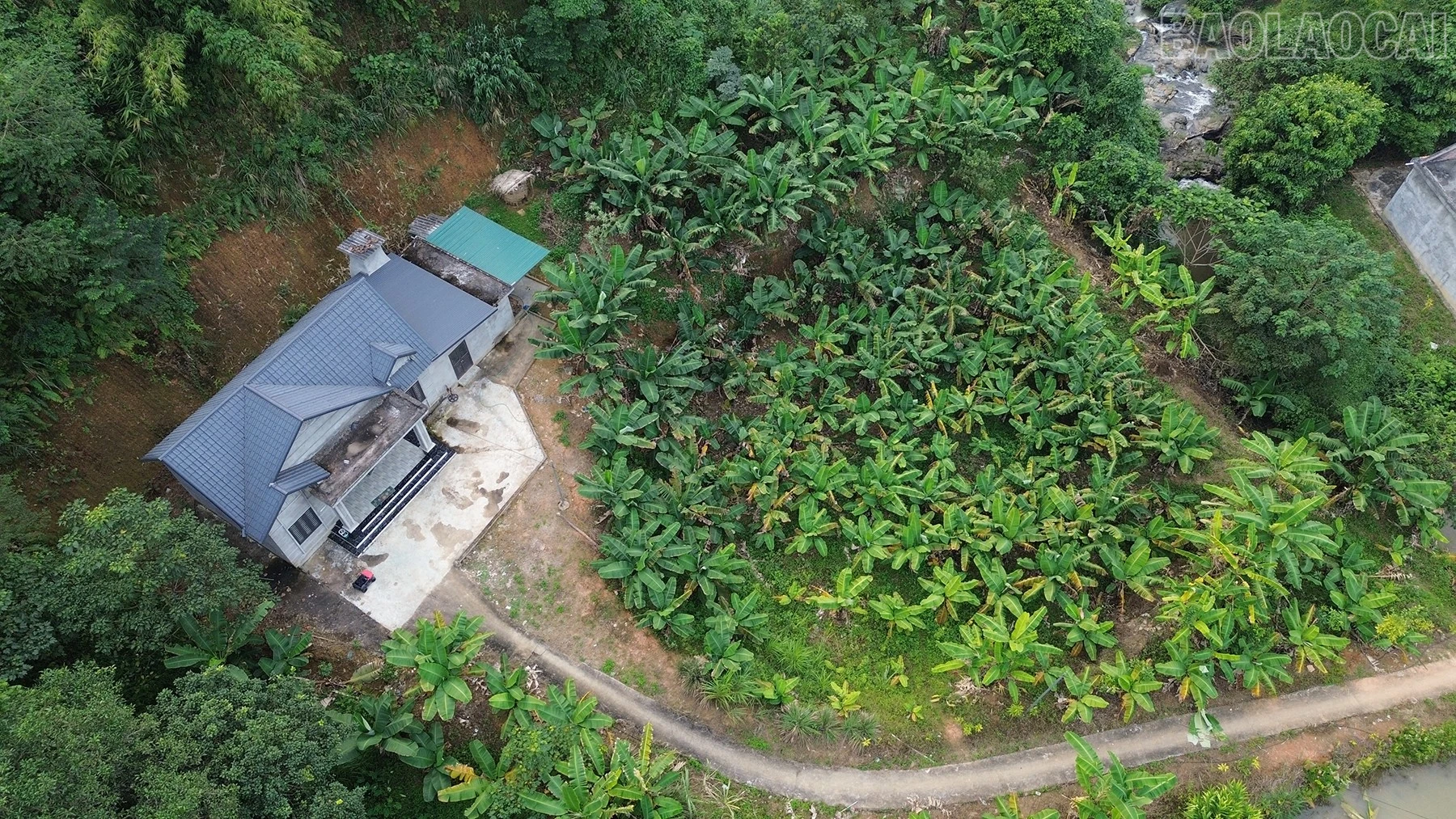baolaocai-tr_dji-0479.jpg