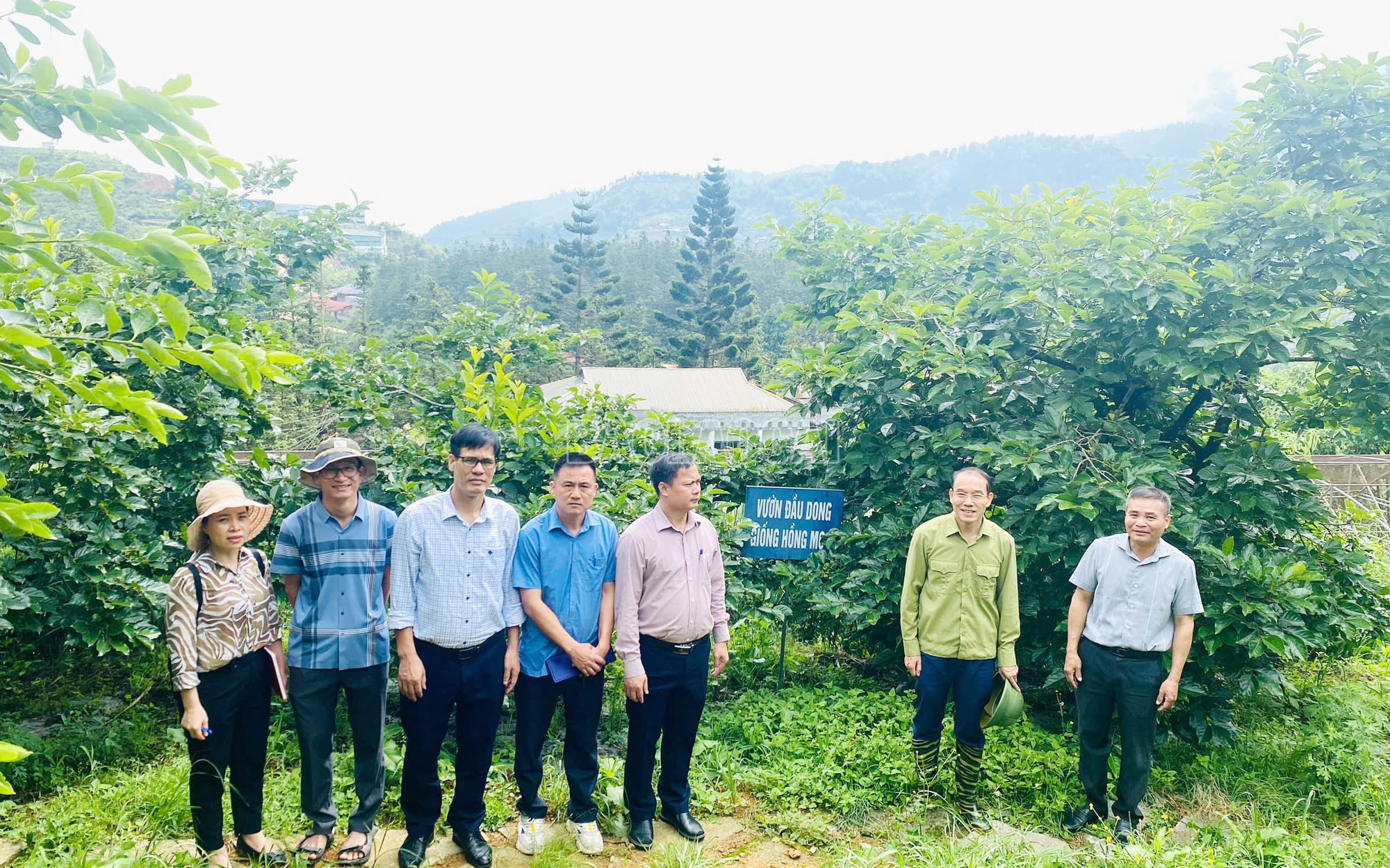 Đoàn công tác Sở Nông nghiệp và Môi trường tỉnh kiểm tra, đánh giá vườn cây ăn quả đầu dòng tại thị xã Sa Pa. baolaocai-c_kiem-tra-thuc-dia-vuon-hong.jpg