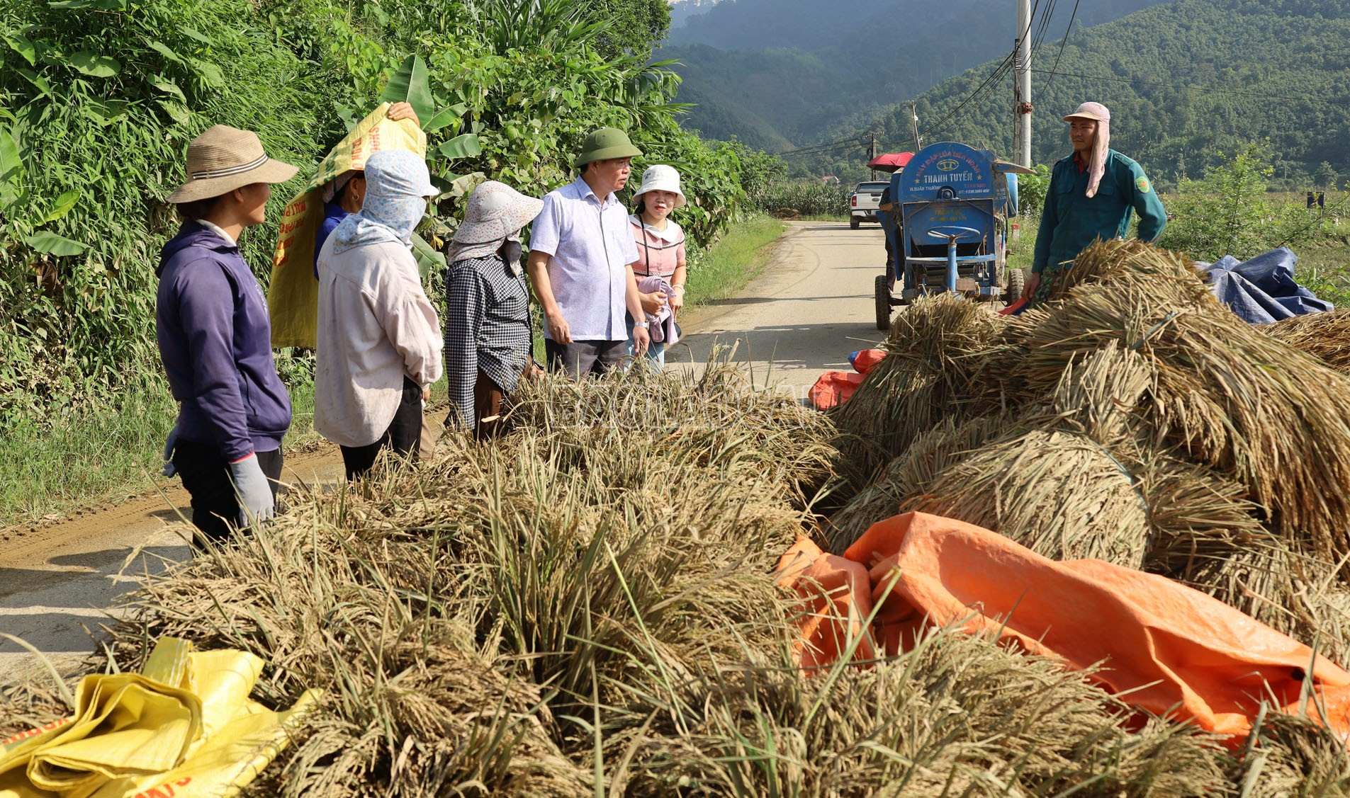 Lãnh đạo xã Tằng Loỏng ra đồng động viên bà con khẩn trương thu hoạch lúa, chuẩn bị vụ mới. baolaocai-c_1.jpg