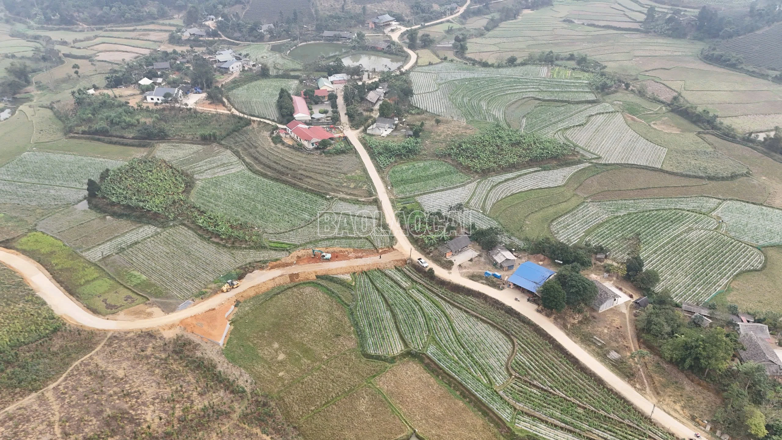 baolaocai-c_z7483997258272-5c6de25df1808144b1c96ac928e79627.jpg