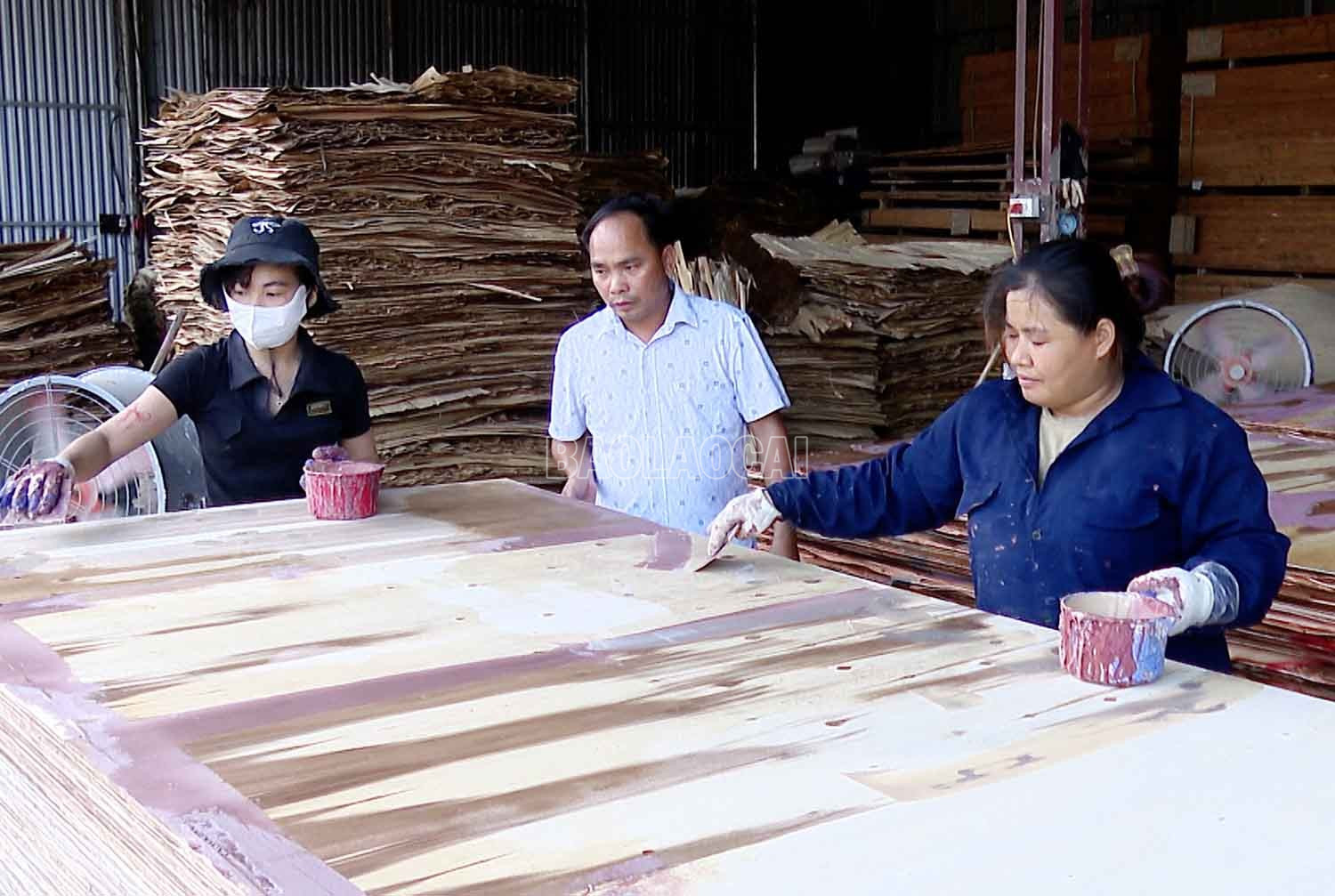 Ông Đỗ Cao Cường (giữa ảnh), xã Thác Bà thành công với mô hình chế biến gỗ và chăn nuôi. baolaocai-c_anh-cuong.jpg