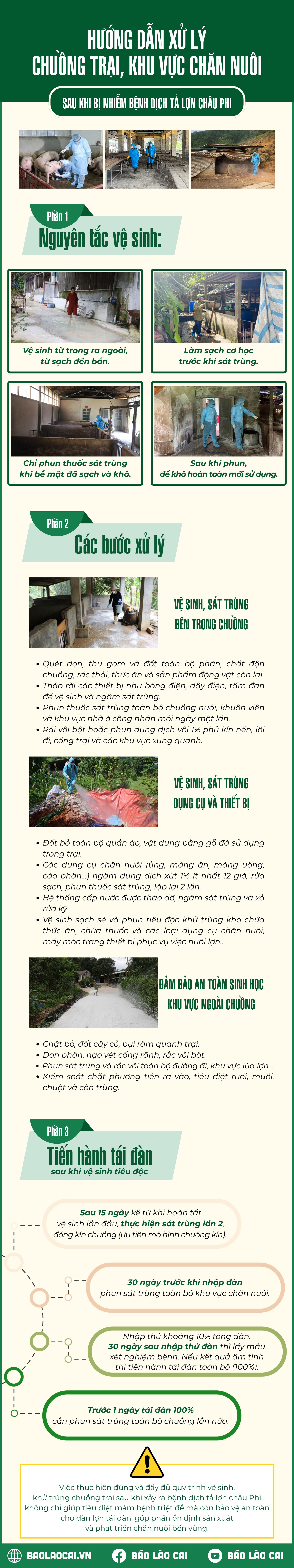 아프리카 질병 감염 후 농장 지역 처리에 대한 인포그래픽 가이드 1.png