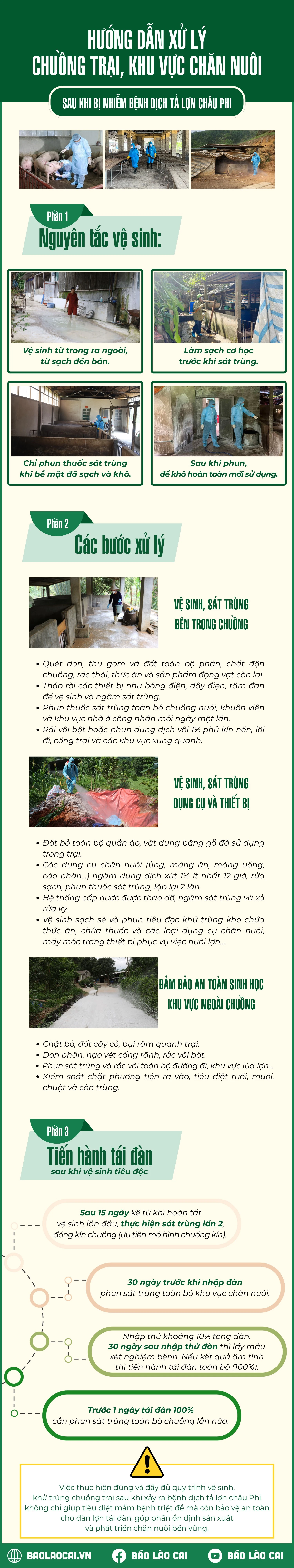 infographic-huong-dan-xu-ly-chuong-trai-khu-vuc-chan-nuoi-sau-khi-bi-nhiem-benh-dich-ta-lon-chau-phi-1.png