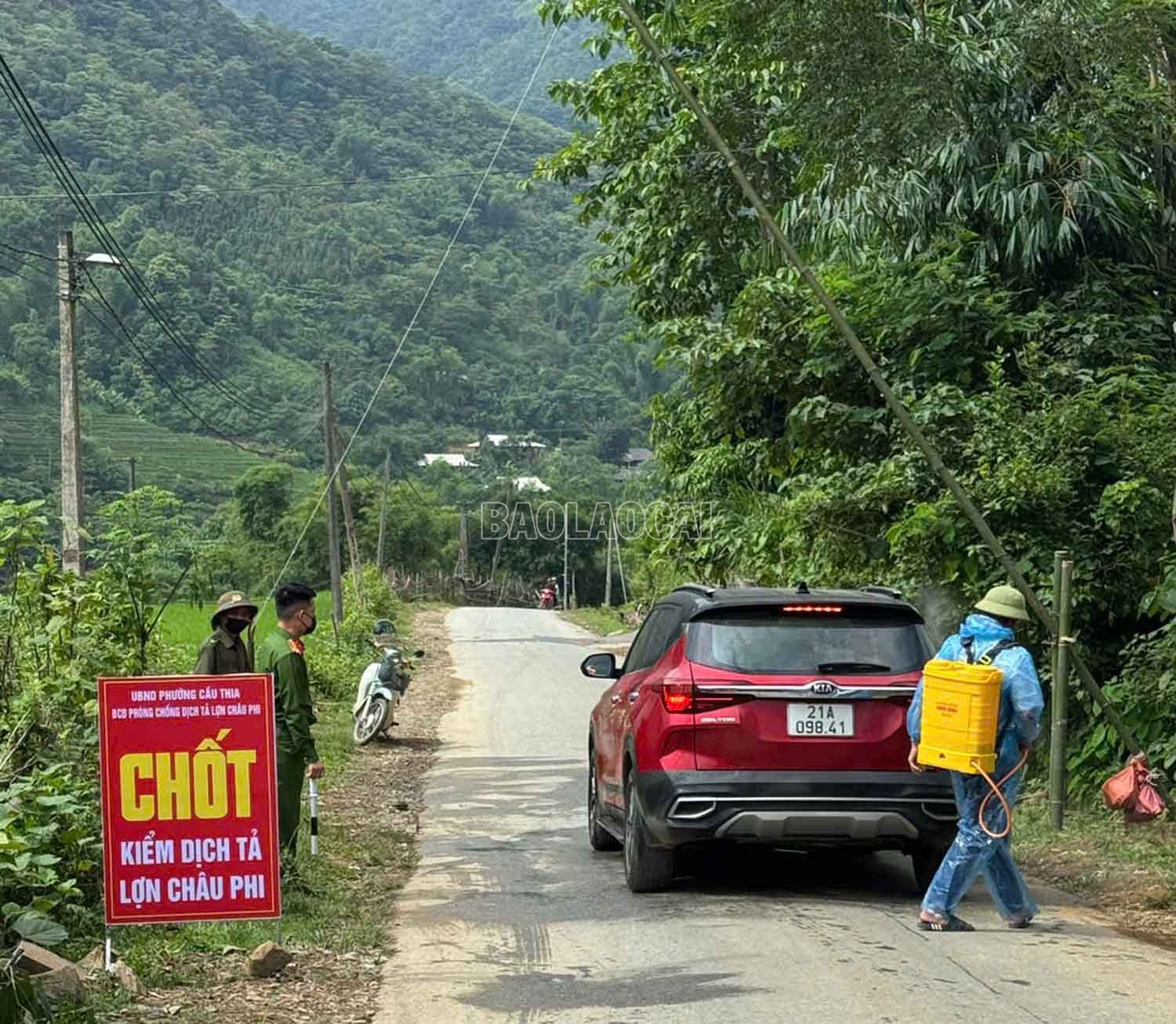 Nhiều địa phương thành lập chốt kiểm soát dịch bệnh tả lợn châu Phi. baolaocai-c_5.jpg