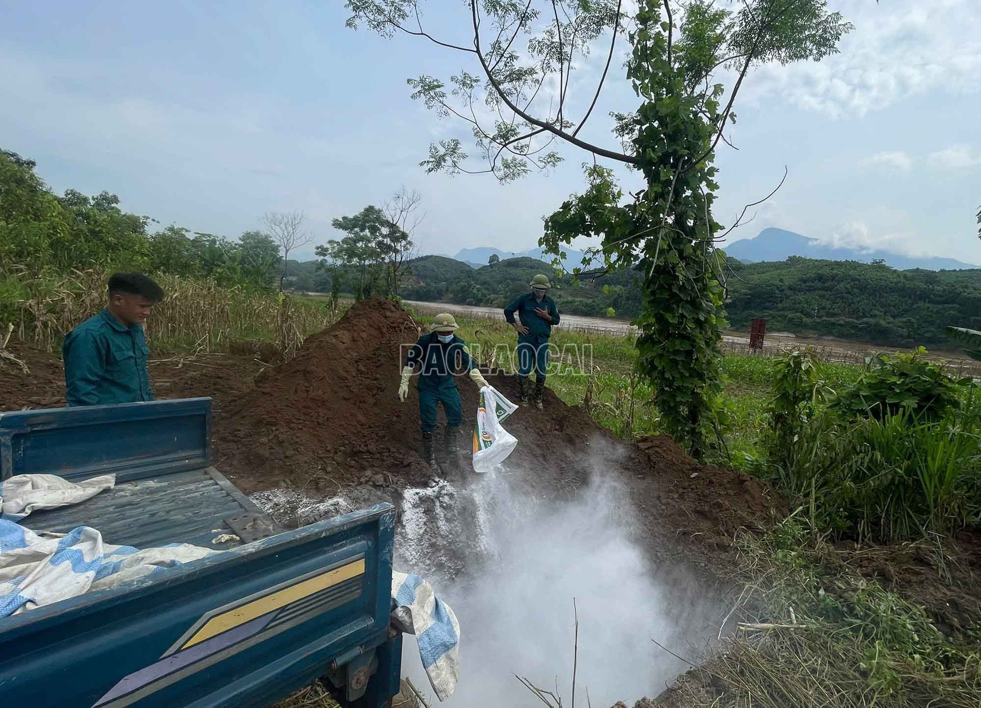 Các địa phương có dịch thành lập hội đồng/tổ tiêu hủy gia súc đảm bảo theo quy định. baolaocai-c_2.jpg