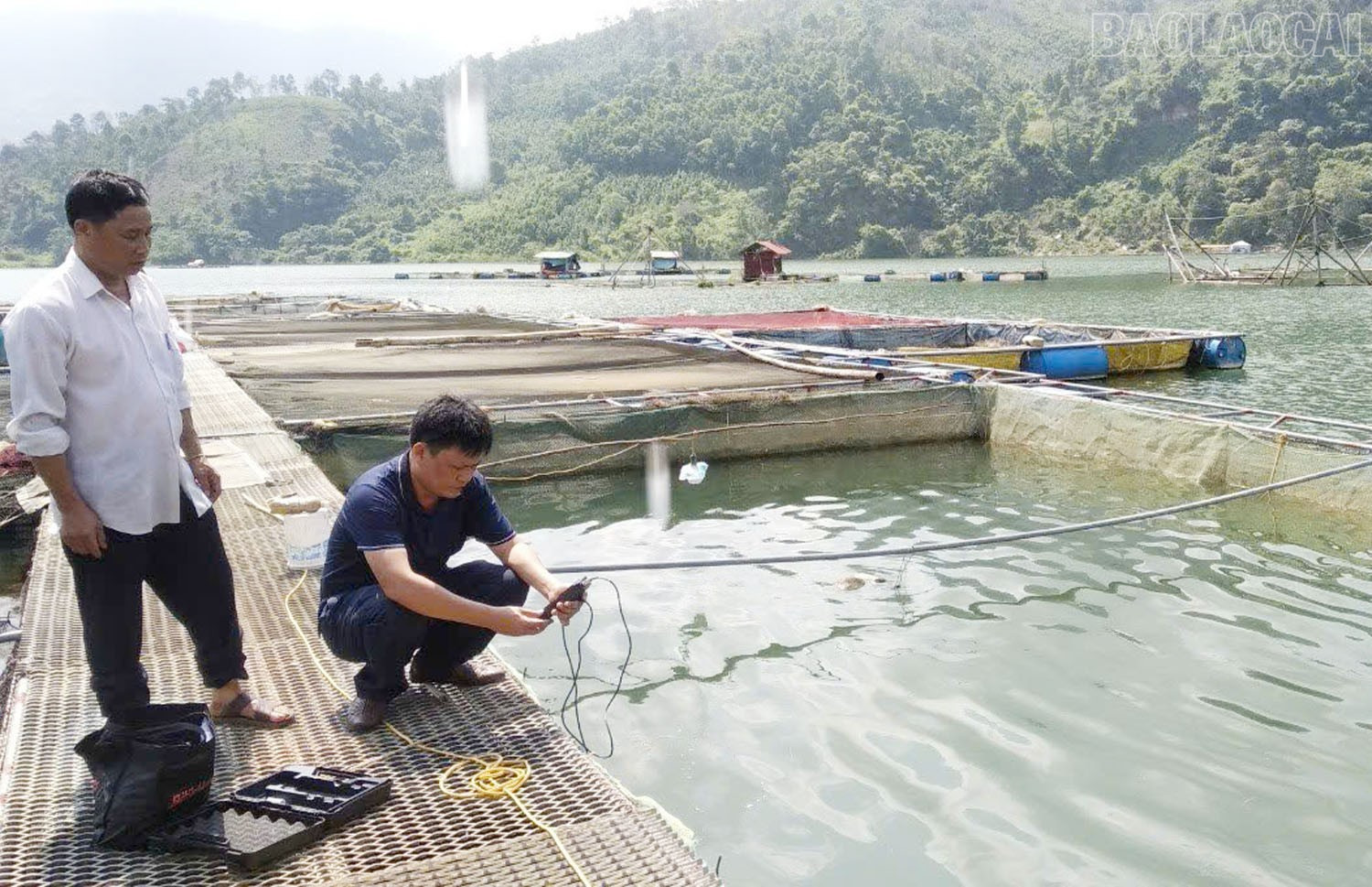 Kiểm tra đánh giá nguồn nước nuôi thủy sản nước ấm. baolaocai-tr_1.jpg