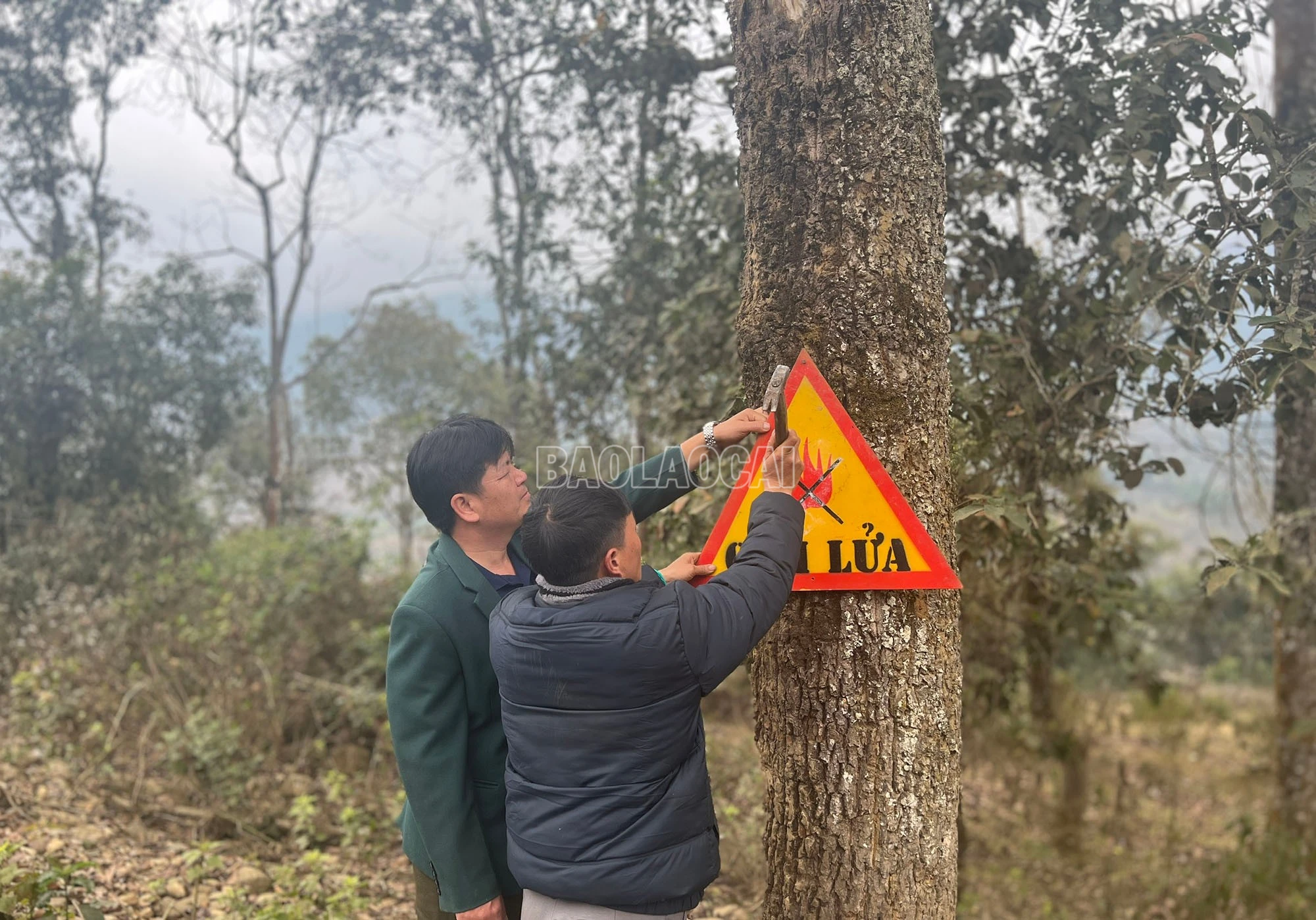 Bổ sung các biển báo cấm sử dụng lửa tại những vùng có nguy cơ cháy rừng cao. Ảnh: Kim Thoa