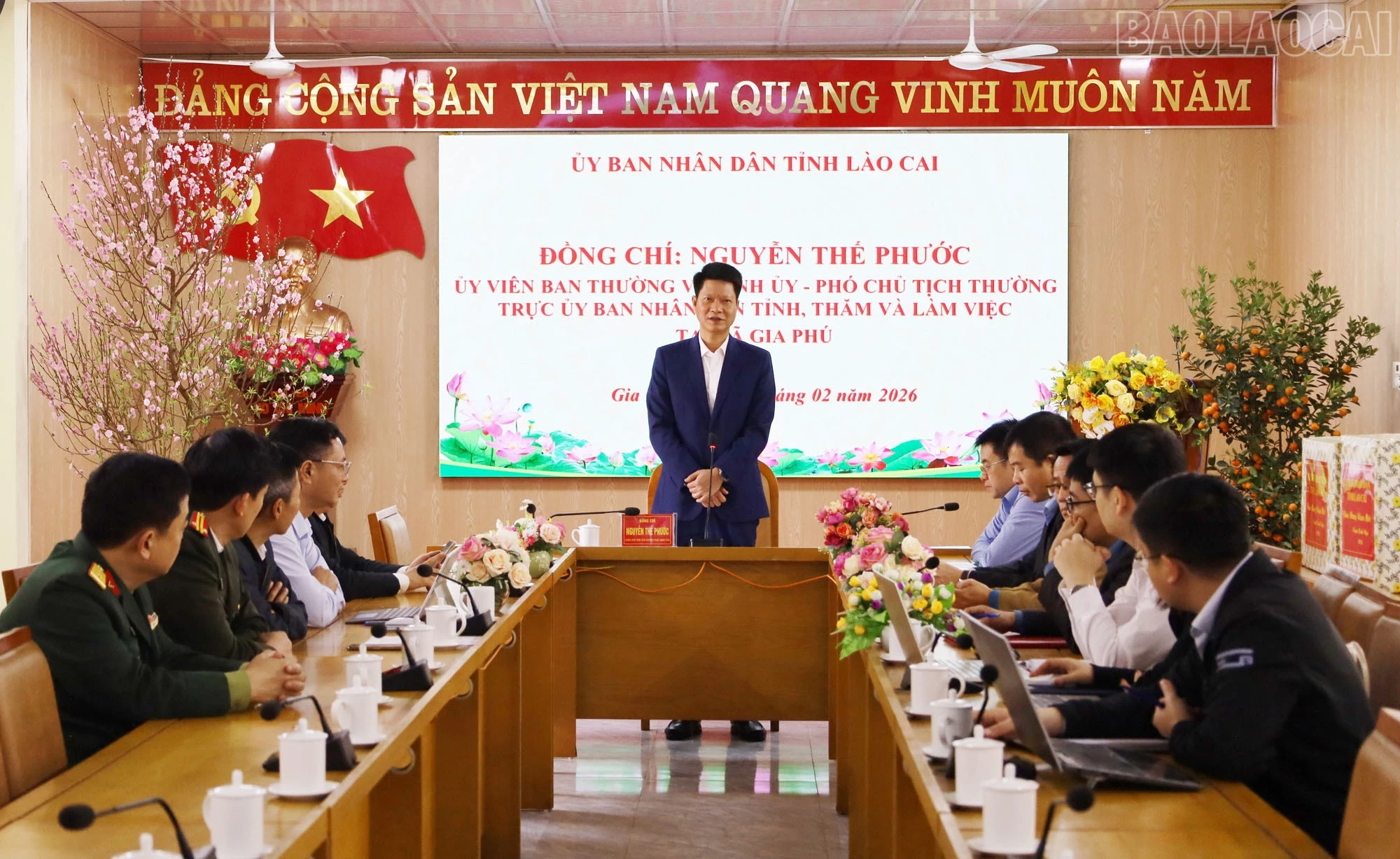 baolaocai-tr_a1.jpg