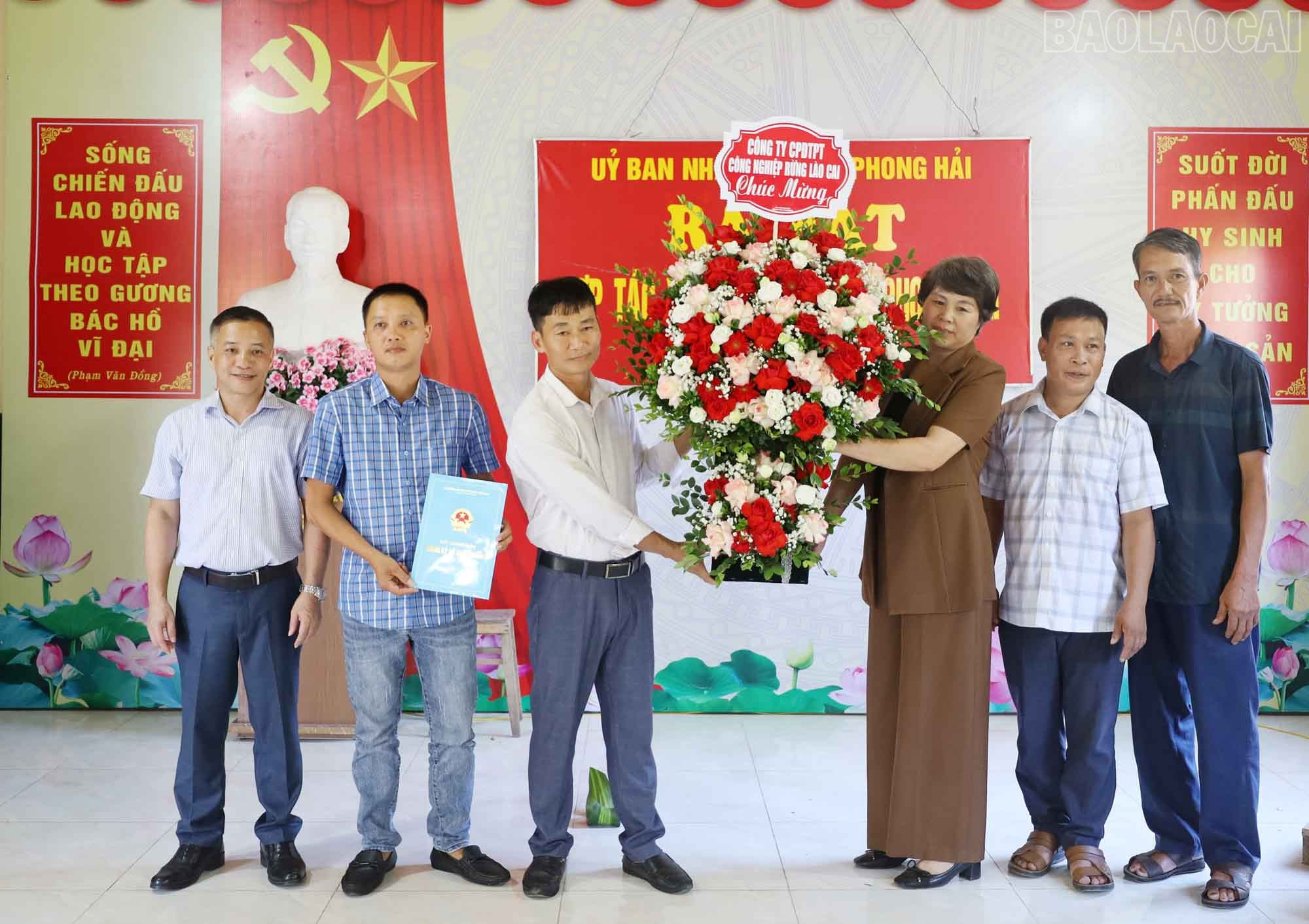 baolaocai-tr_3.jpg