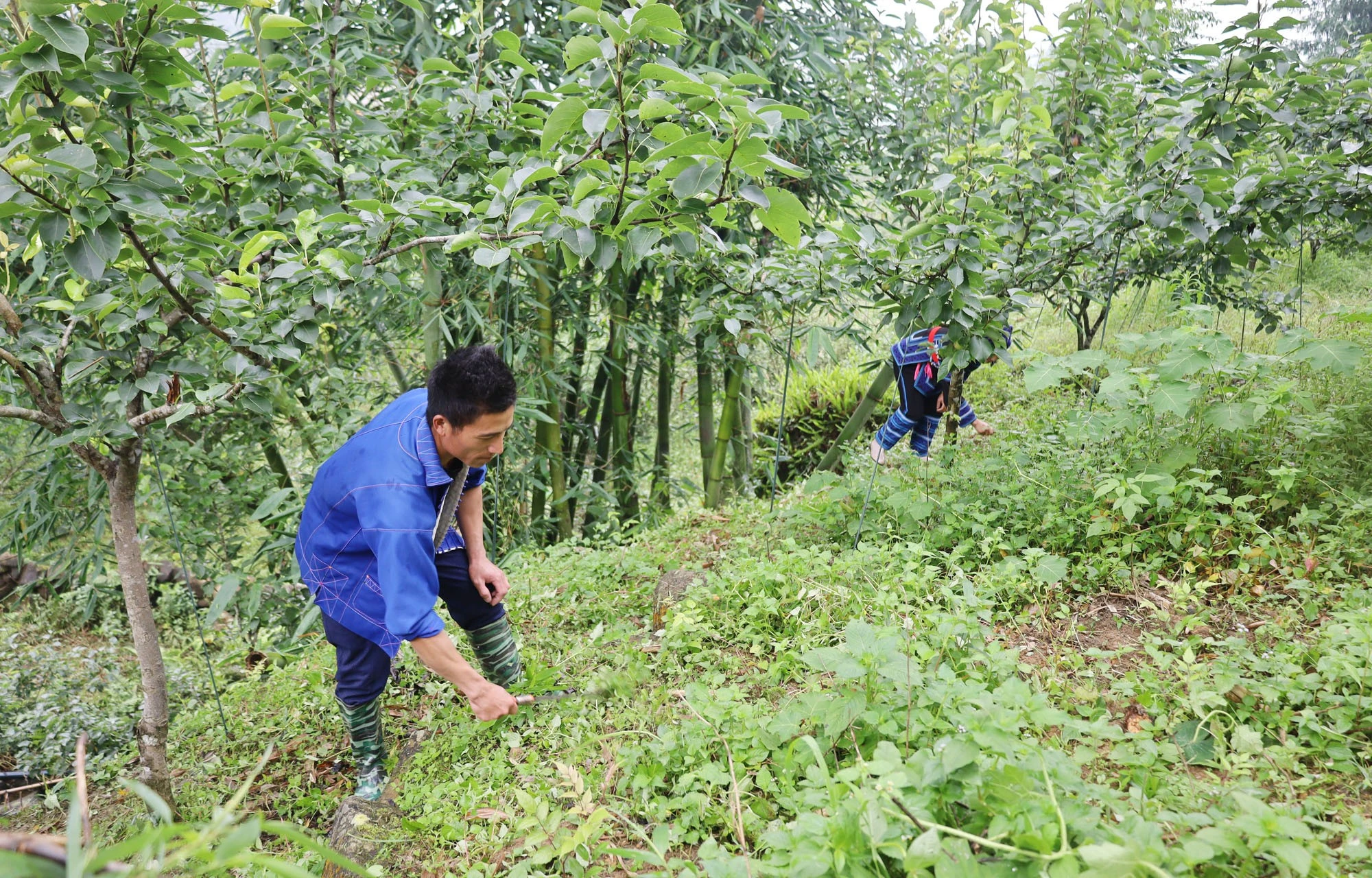 nguoi-dan-phat-co-cham-co-cham-soc-le.jpg