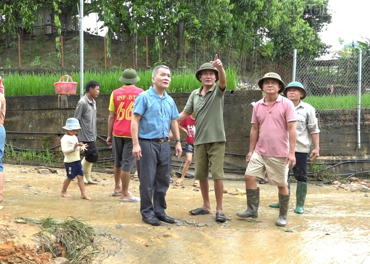 baolaocai-tr_5.jpg