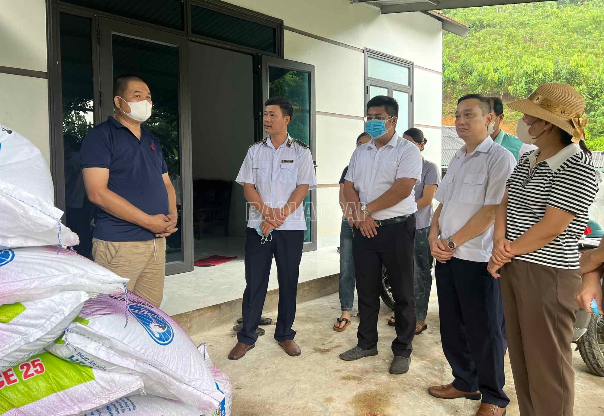 Cơ quan chuyên môn nắm tình hình dịch bệnh trên đàn lợn tại thôn Đồng Bưởi, xã Trấn Yên. baolaocai-c_3.jpg