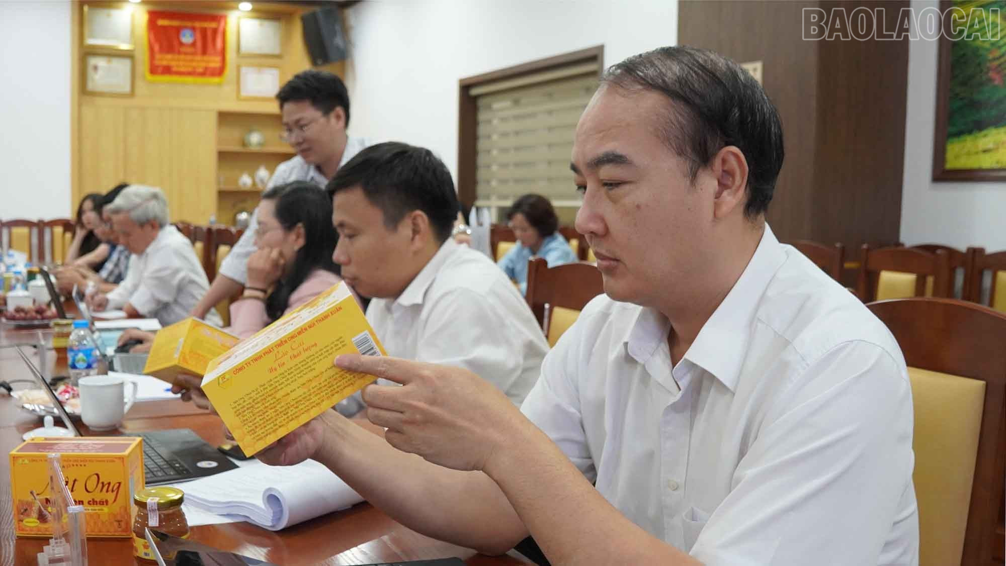 baolaocai-tr_2.jpg